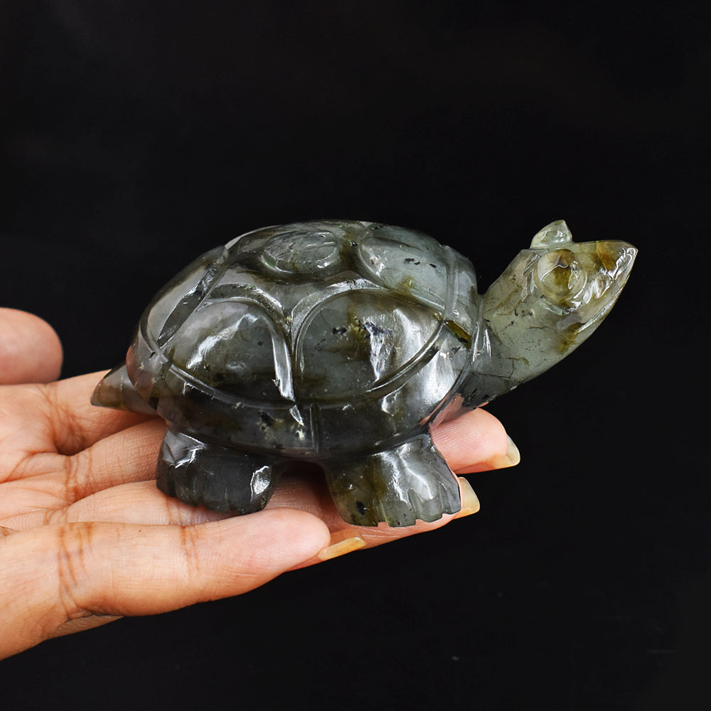 Amazing  726.00 Carats Genuine Blue Flash Labradorite Hand Carved  Crystal  Turtle Carving