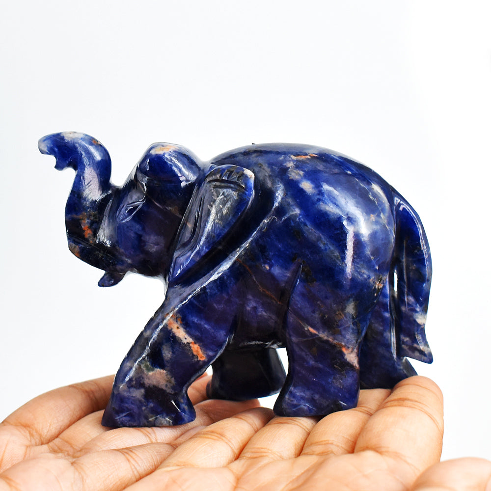 Beautiful  1644.00 Cts  Blue Sodalite  Hand Carved Genuine Crystal Gemstone Carving Elephant