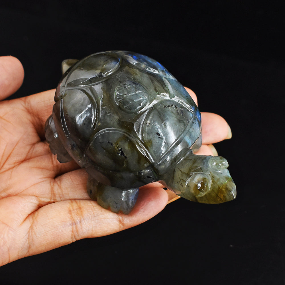 Amazing  726.00 Carats Genuine Blue Flash Labradorite Hand Carved  Crystal  Turtle Carving