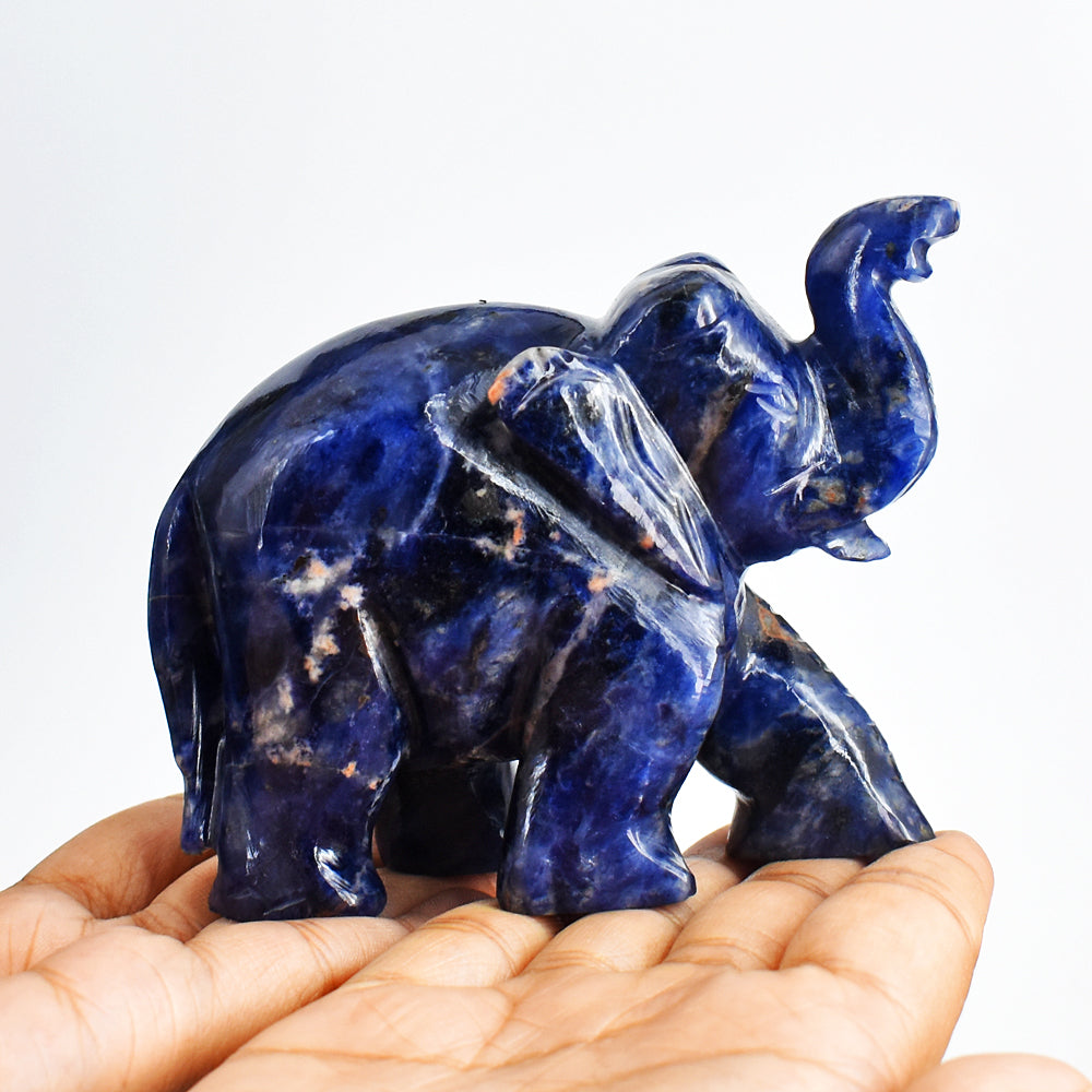 Beautiful  1644.00 Cts  Blue Sodalite  Hand Carved Genuine Crystal Gemstone Carving Elephant