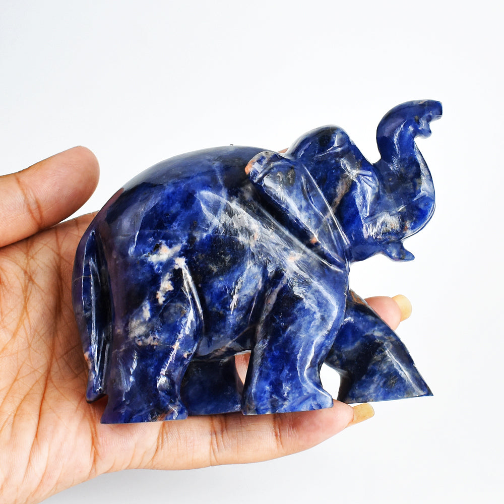 Beautiful  1644.00 Cts  Blue Sodalite  Hand Carved Genuine Crystal Gemstone Carving Elephant