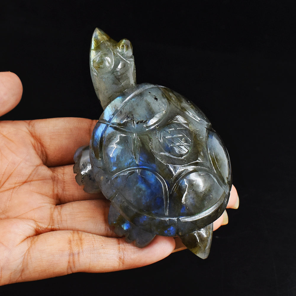 Amazing  726.00 Carats Genuine Blue Flash Labradorite Hand Carved  Crystal  Turtle Carving