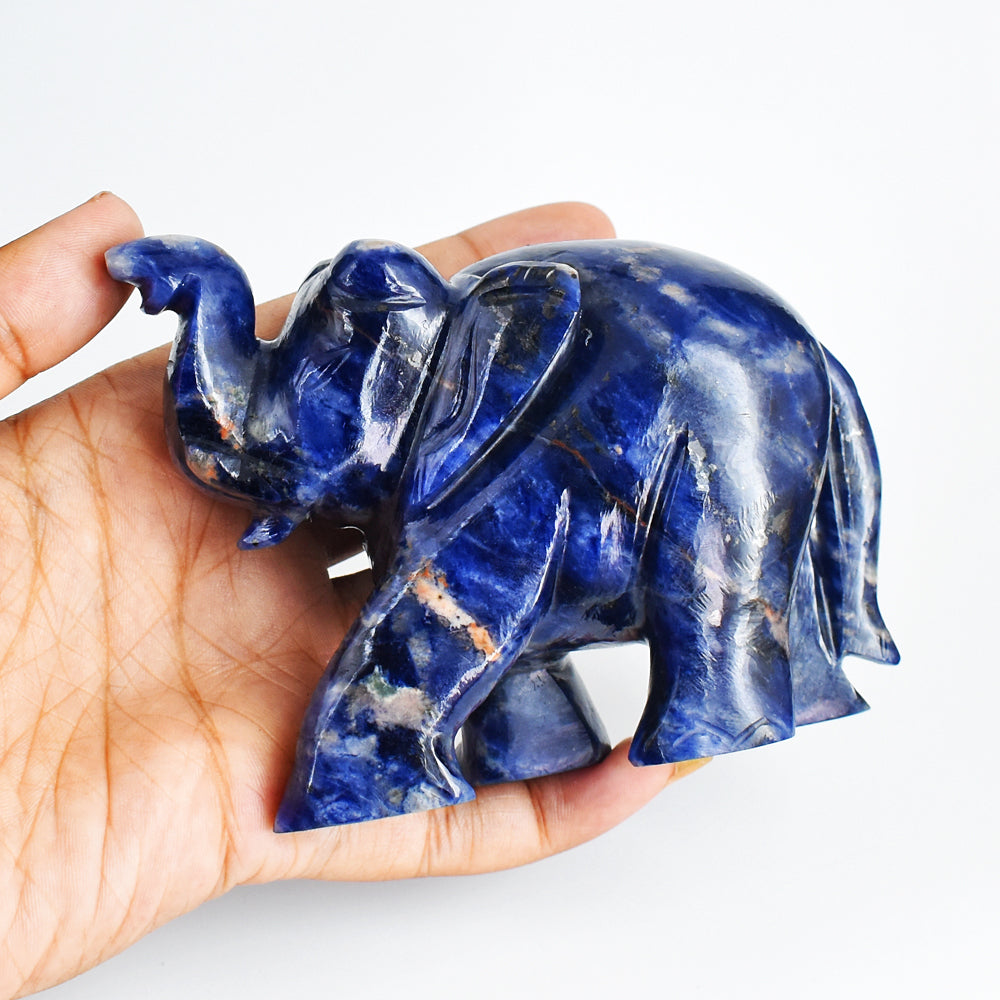 Beautiful  1644.00 Cts  Blue Sodalite  Hand Carved Genuine Crystal Gemstone Carving Elephant