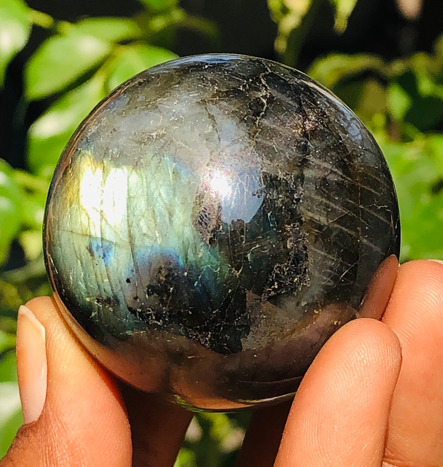 Alluring 580.00 Cts Genuine Golden & Blue Flash Labradorite Healing Ball Sphere Crystal Premium