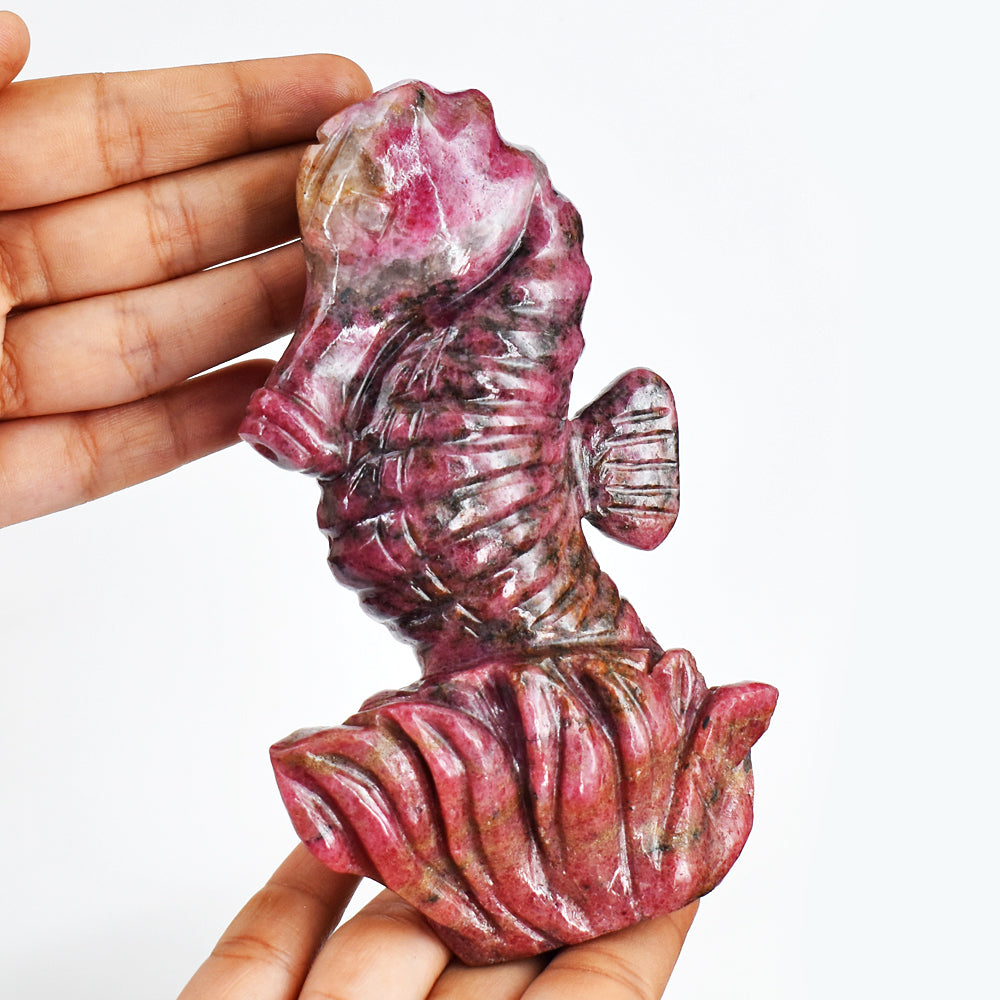 Gorgeous 2729.00 Cts Genuine Rhodonite Hand Carved Crystal Gemstone Seahorse Carving