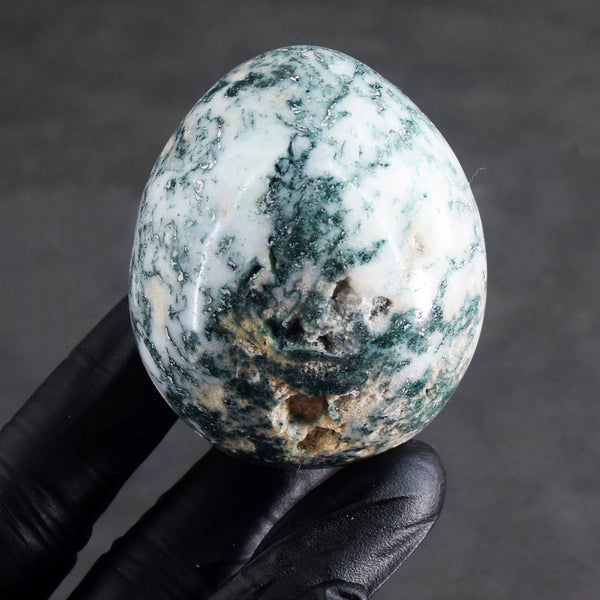 Natural 761.00 Cts Genuine Tree Agate Druzy Healing Crystal Premium Egg