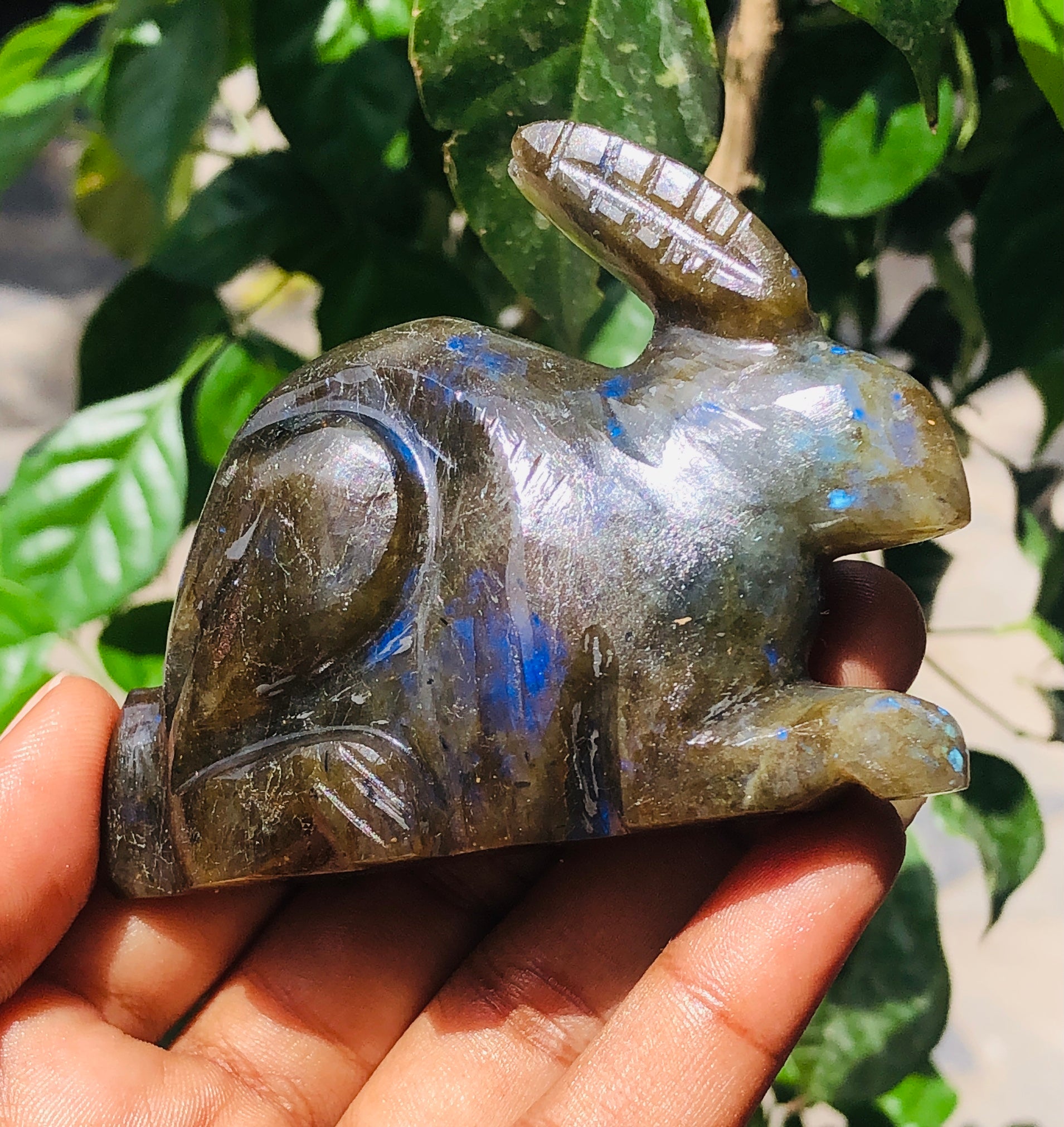 Amazing 667.00 Cts Genuine Labradorite Hand Carved Gemstone Bunny 2026  Collection
