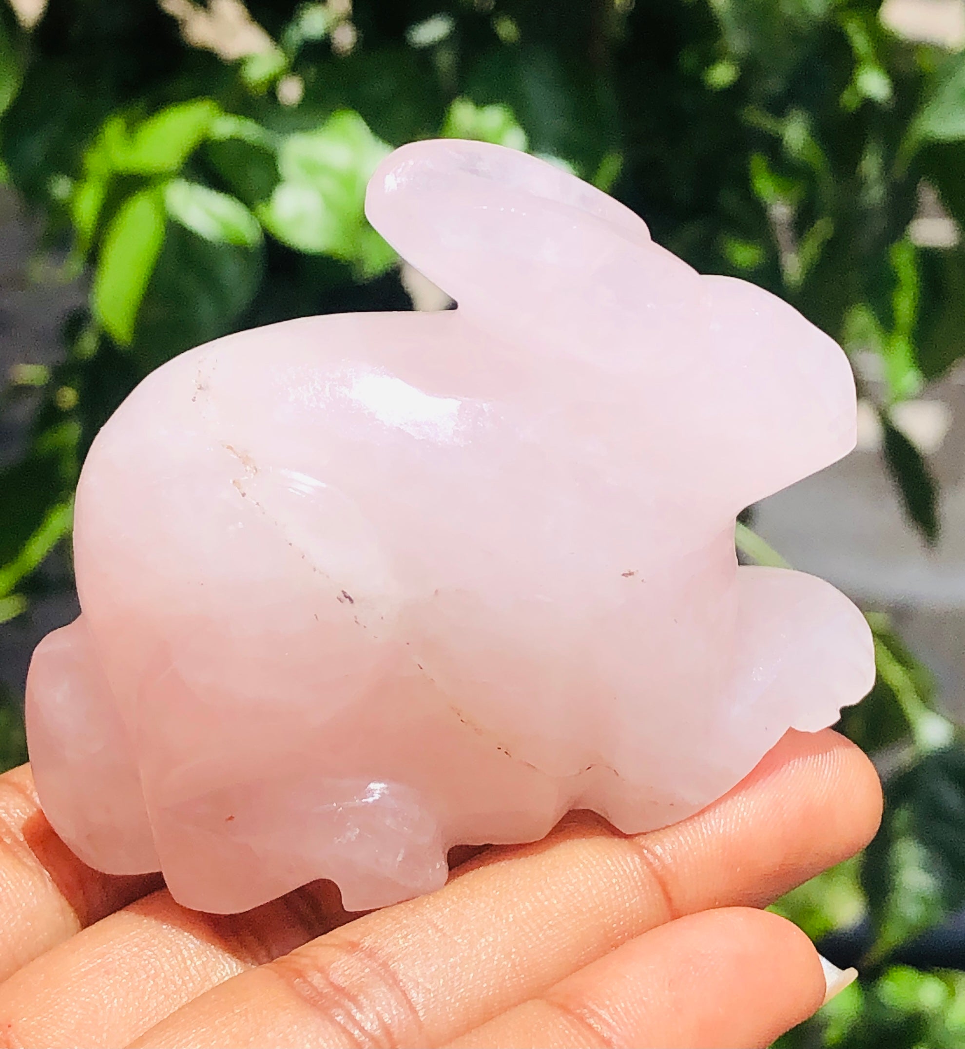 Genuine 551.00 Cts Amazing Rose Quartz Hand Carved Bunny 2026  Collection
