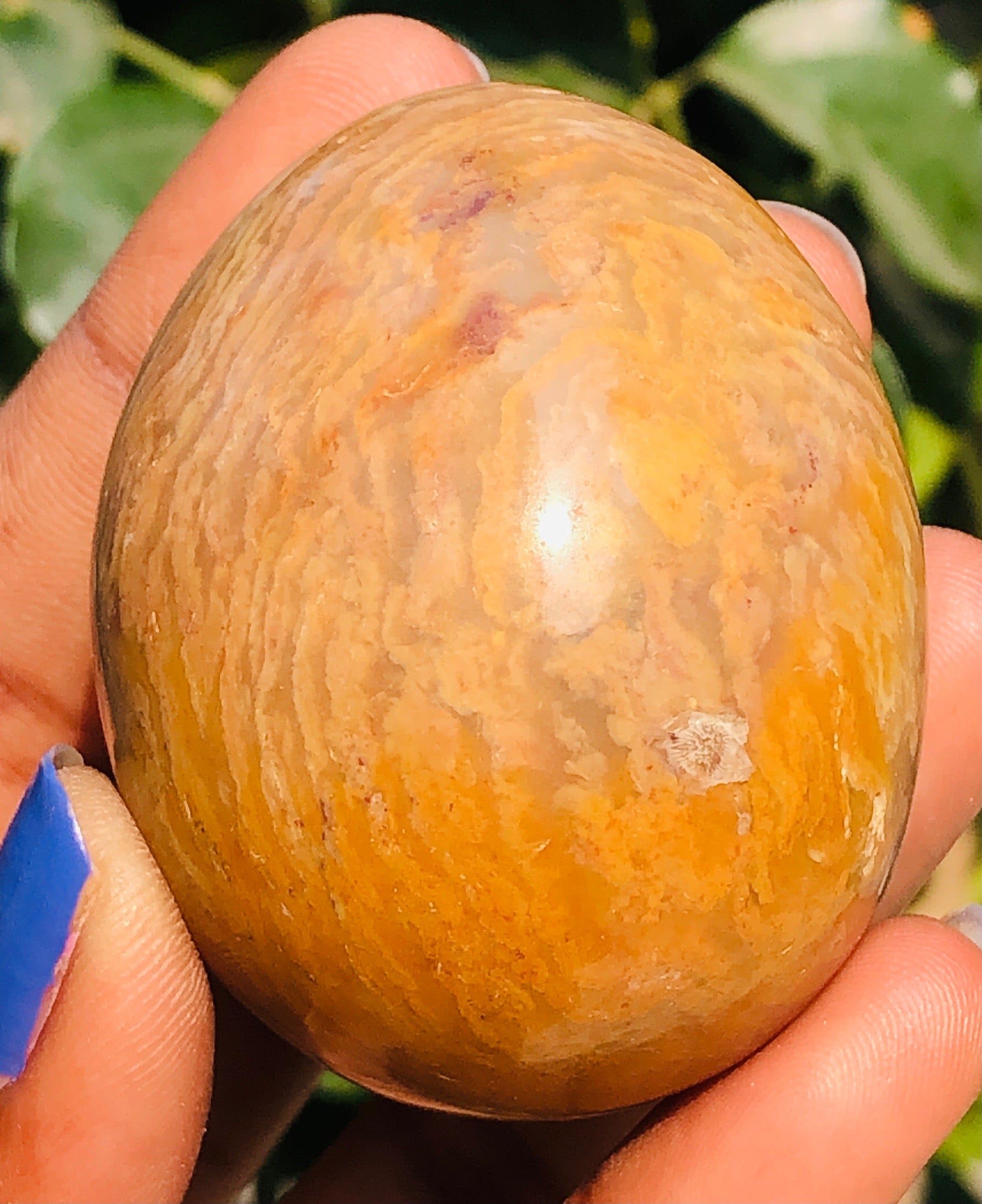 Natural 531.00 Cts Genuine Agate Healing Premium Egg Crystal