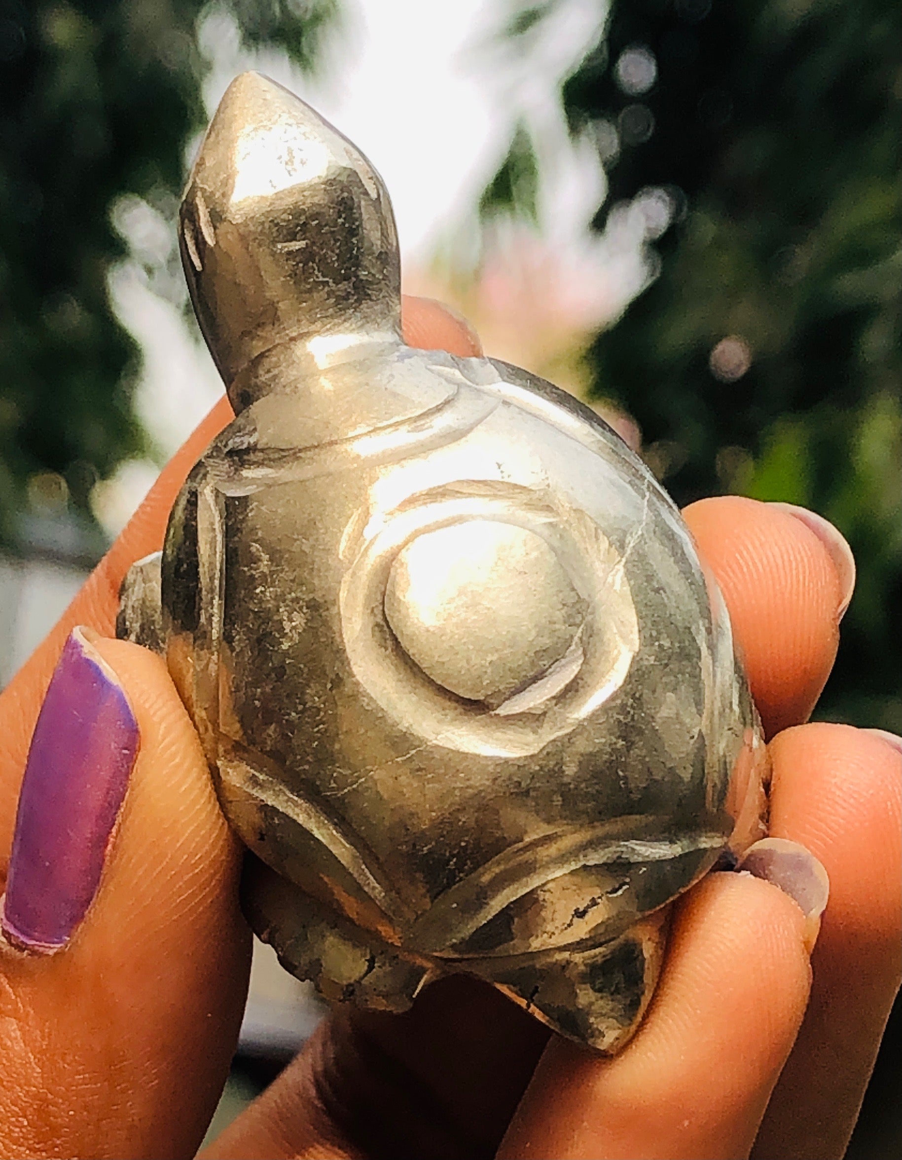 Lovely 286.00 Cts Genuine Pyrite Hand Carved Gemstone Premium Turtle Crystal