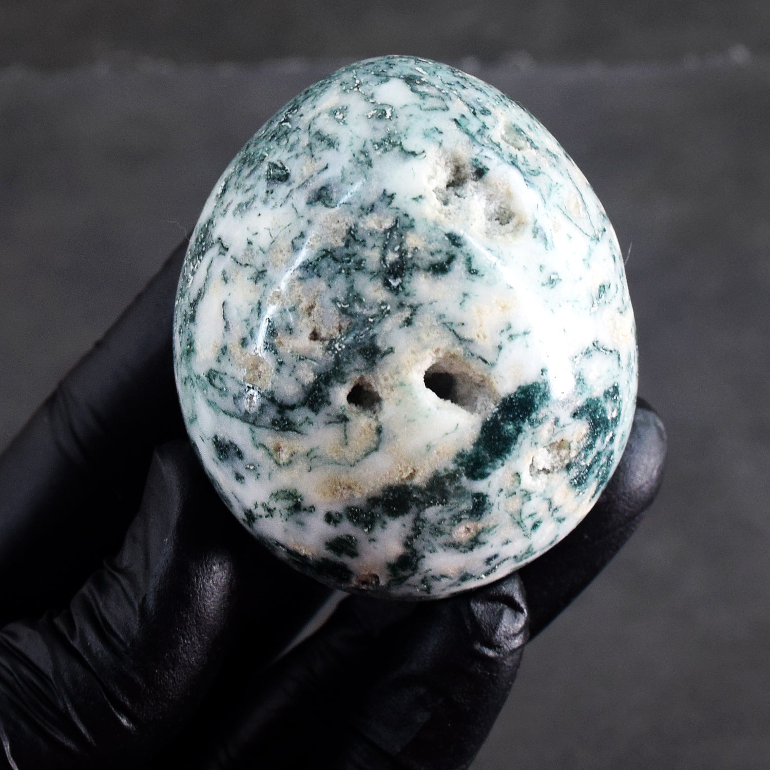 Natural 761.00 Cts Genuine Tree Agate Druzy Healing Crystal Premium Egg