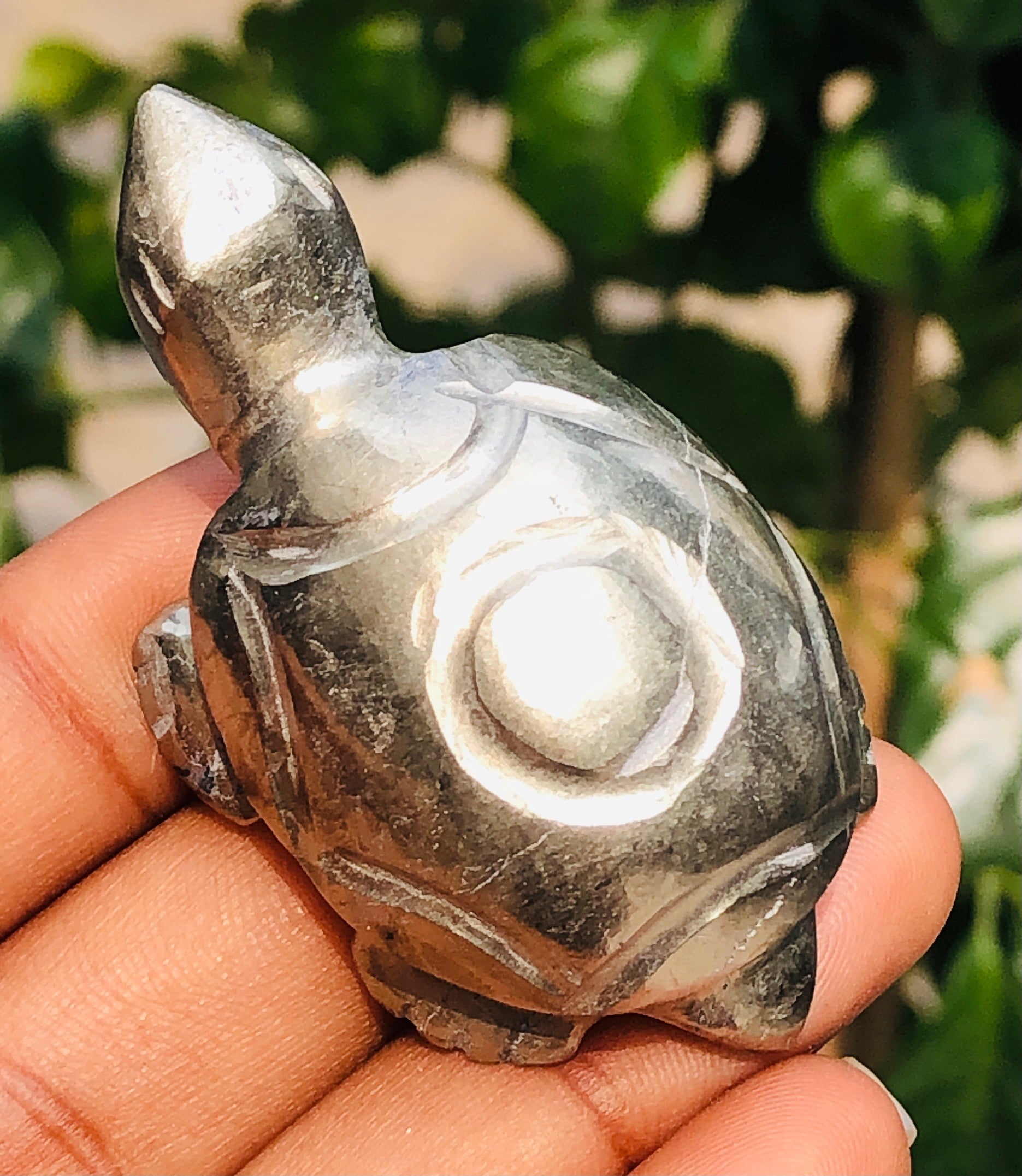 Lovely 286.00 Cts Genuine Pyrite Hand Carved Gemstone Premium Turtle Crystal