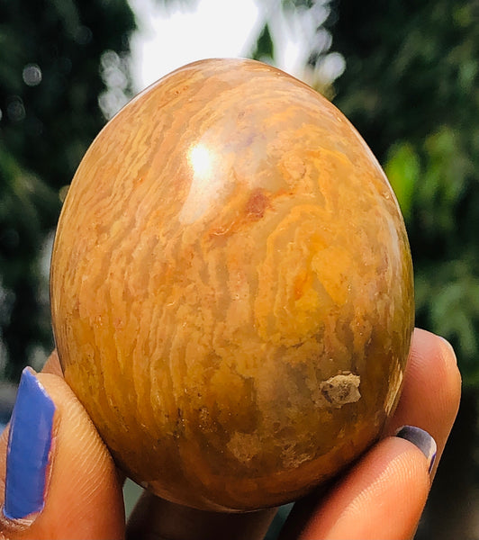 Natural 531.00 Cts Genuine Agate Healing Premium Egg Crystal