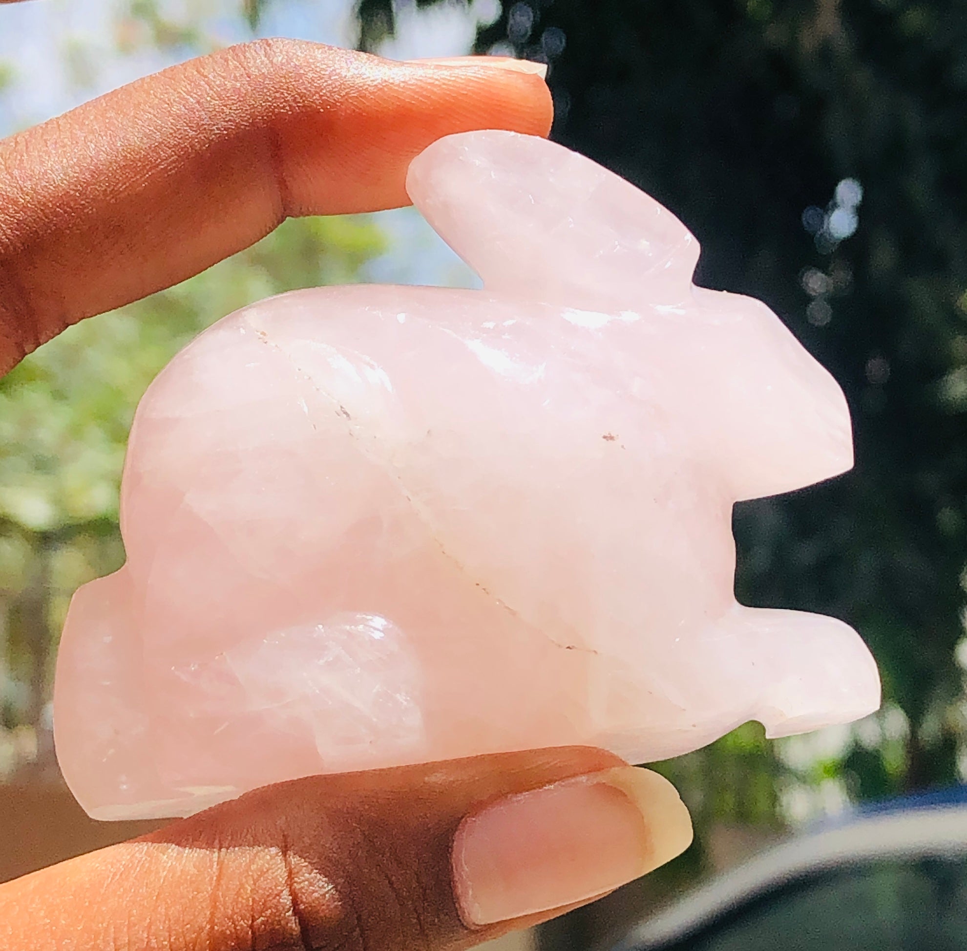 Genuine 551.00 Cts Amazing Rose Quartz Hand Carved Bunny 2026  Collection