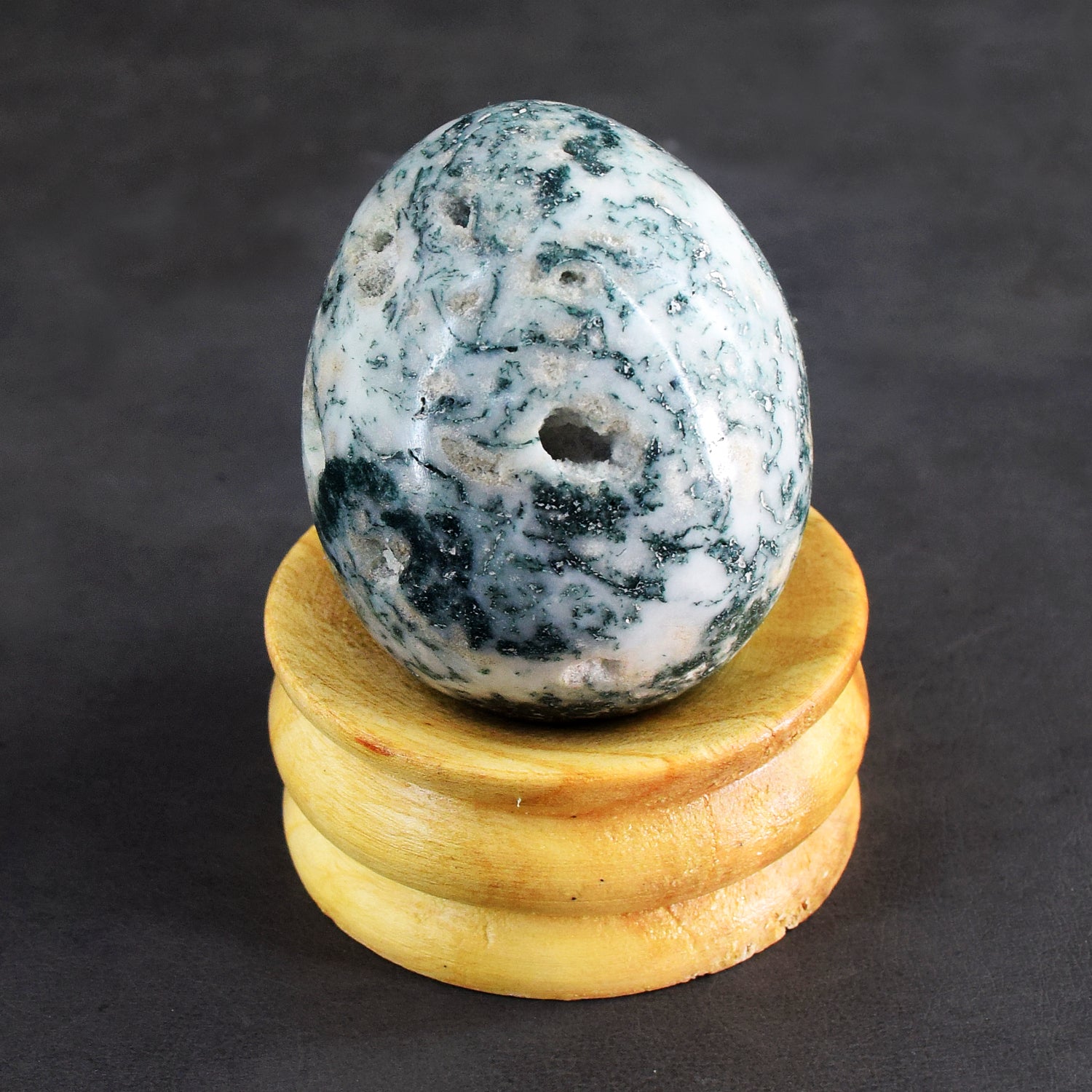 Natural 761.00 Cts Genuine Tree Agate Druzy Healing Crystal Premium Egg