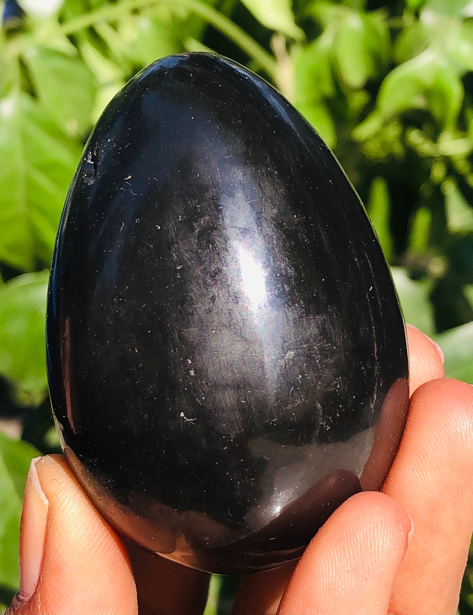 Pleasing 584.00 Cts Genuine Black Tourmaline Healing Crystal Premium Egg