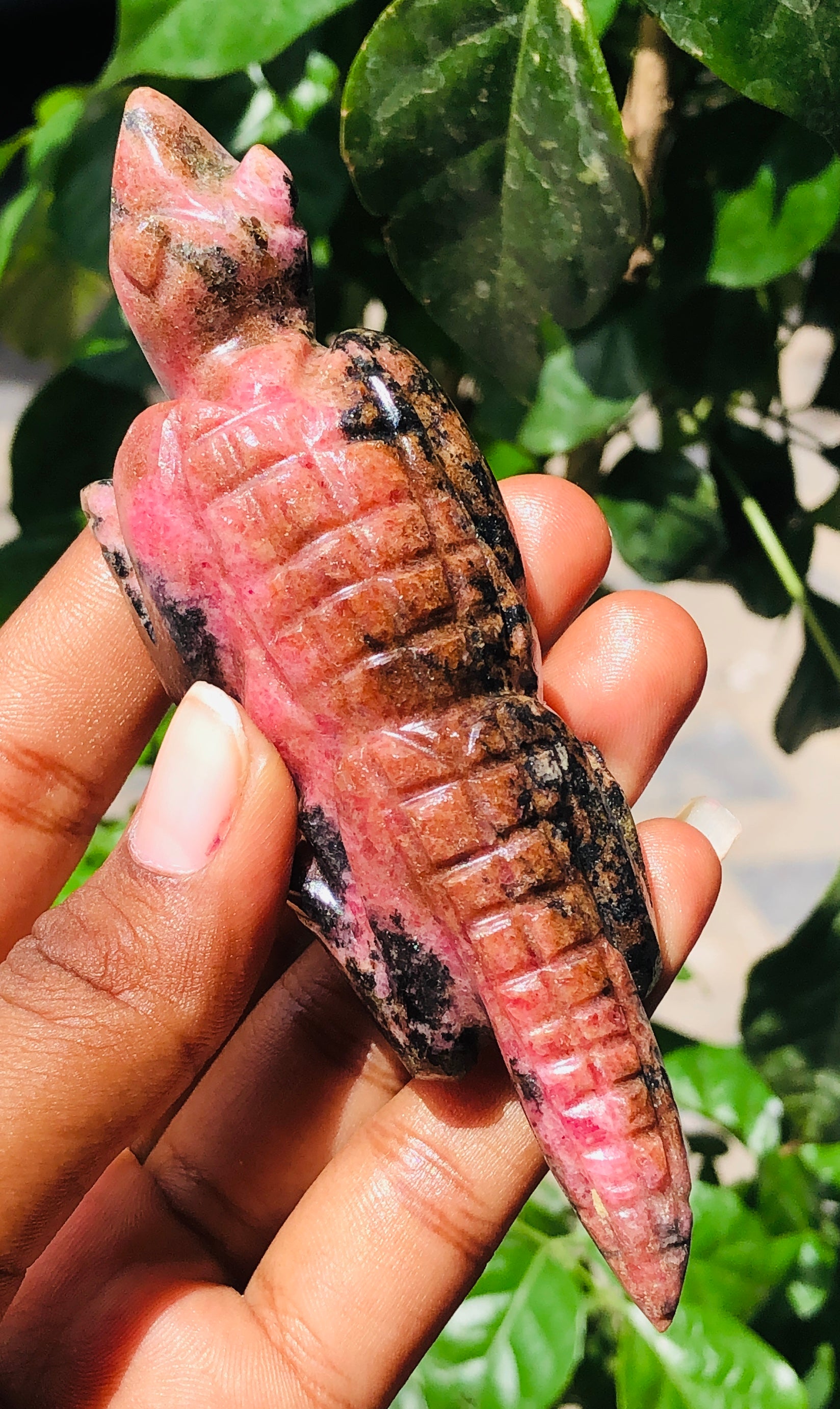 Exclusive 585.00 Cts Genuine Rhodonite Hand Carved Lizard Gemstone Carving 2026  Collection