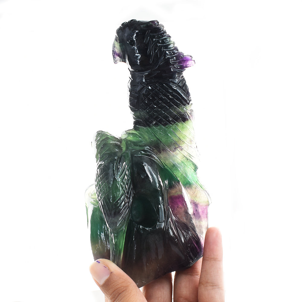 Marvellous 3403.00 Cts Genuine Multicolor Fluorite Hand Carved Gemstone Crystal Parrot Carving