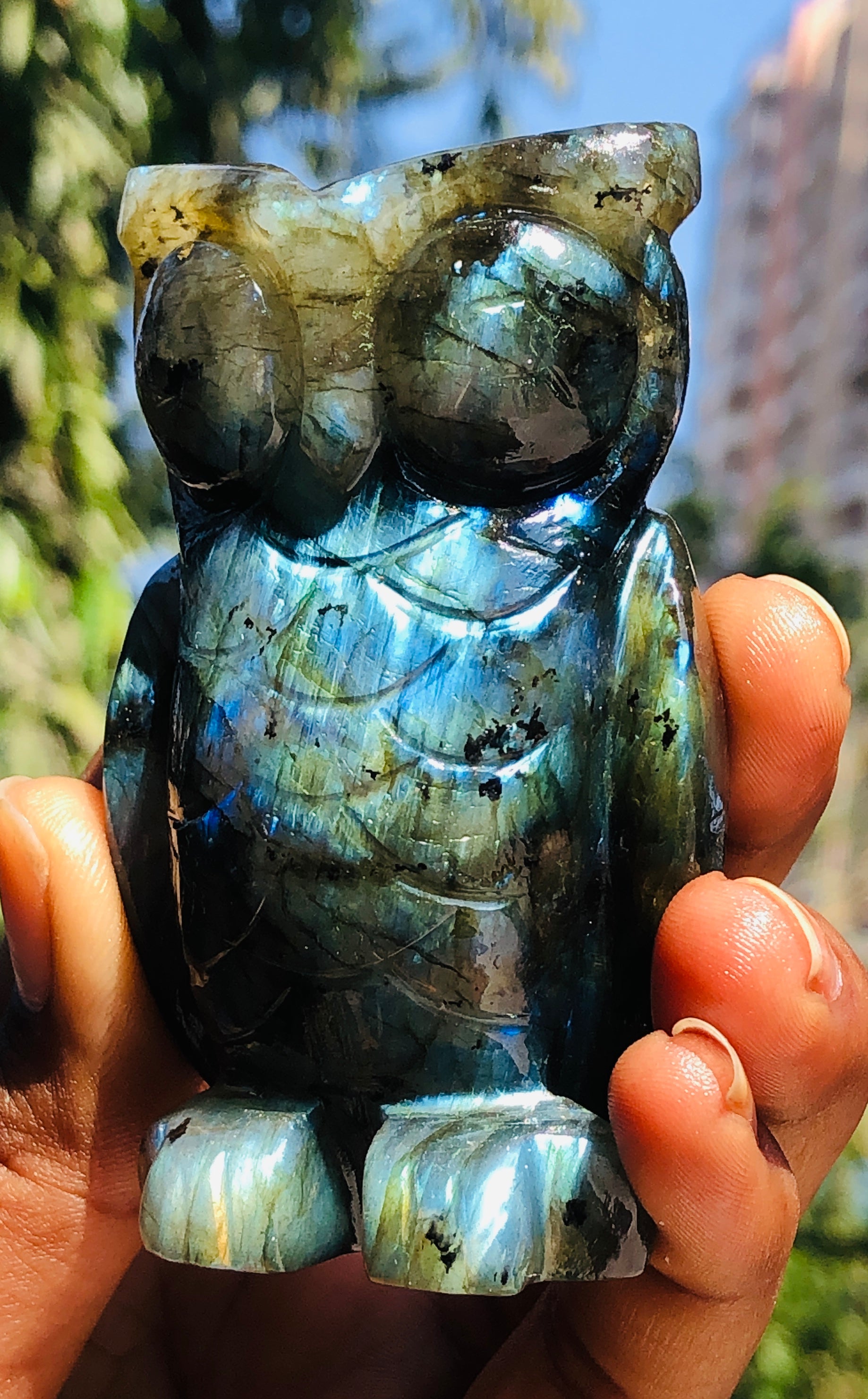 Verry Atrractive 801.00 Cts Genuine Blue Flash Labradorite Hand Carved Gemstone Premium Owl