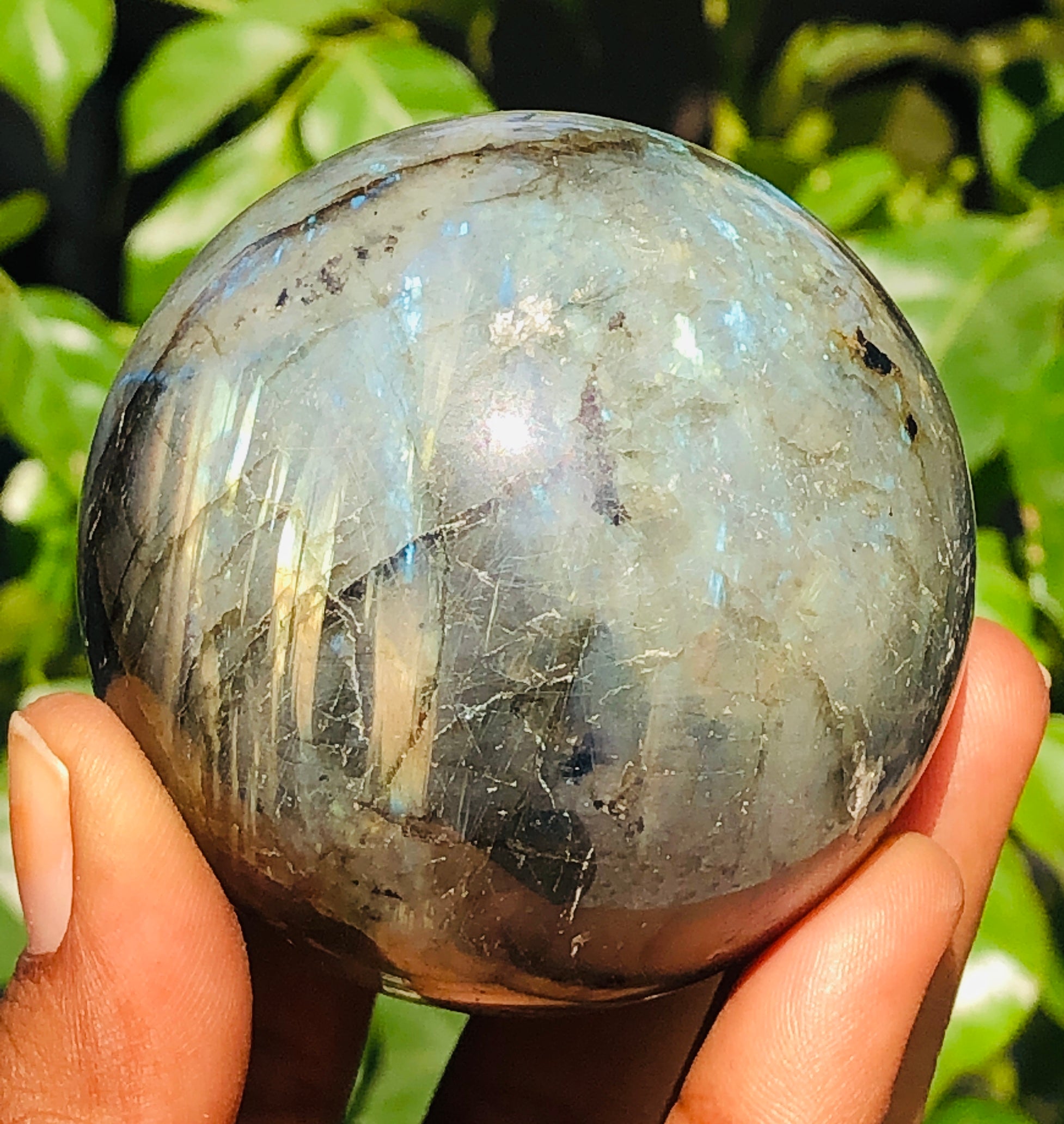 Fabulous 1323.00 Cts Genuine Golden & Blue Flash Labradorite Healing Ball Sphere Crystal