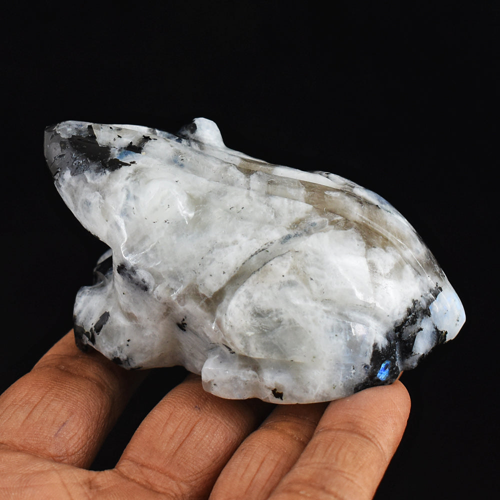 Blue Flash  Moonstone 750.00 Carats Genuine Hand Carved Crystal Gemstone Frog Carving