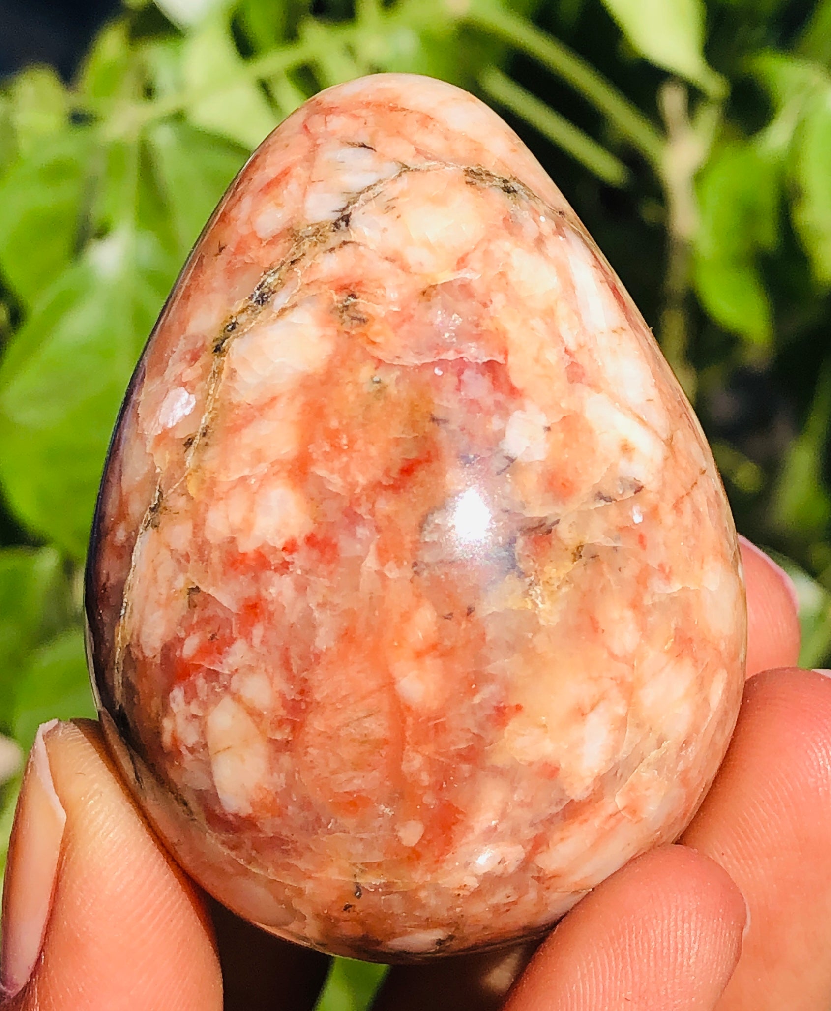 Pleasing 479.00 Cts Genuine Polygram Jasper Healing Crystal Premium Egg