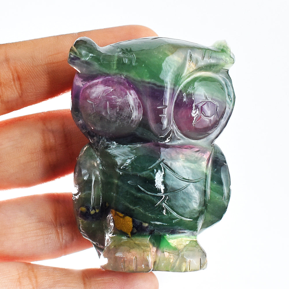 Stunning 863.00 Cts Genuine Multicolor Fluorite Hand Carved Crystal Gemstone Owl Carving