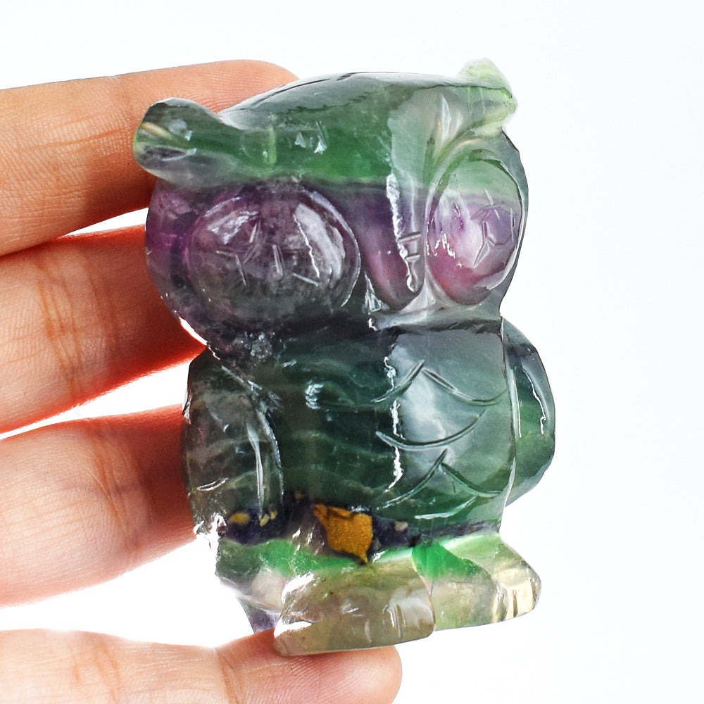 Stunning 863.00 Cts Genuine Multicolor Fluorite Hand Carved Crystal Gemstone Owl Carving