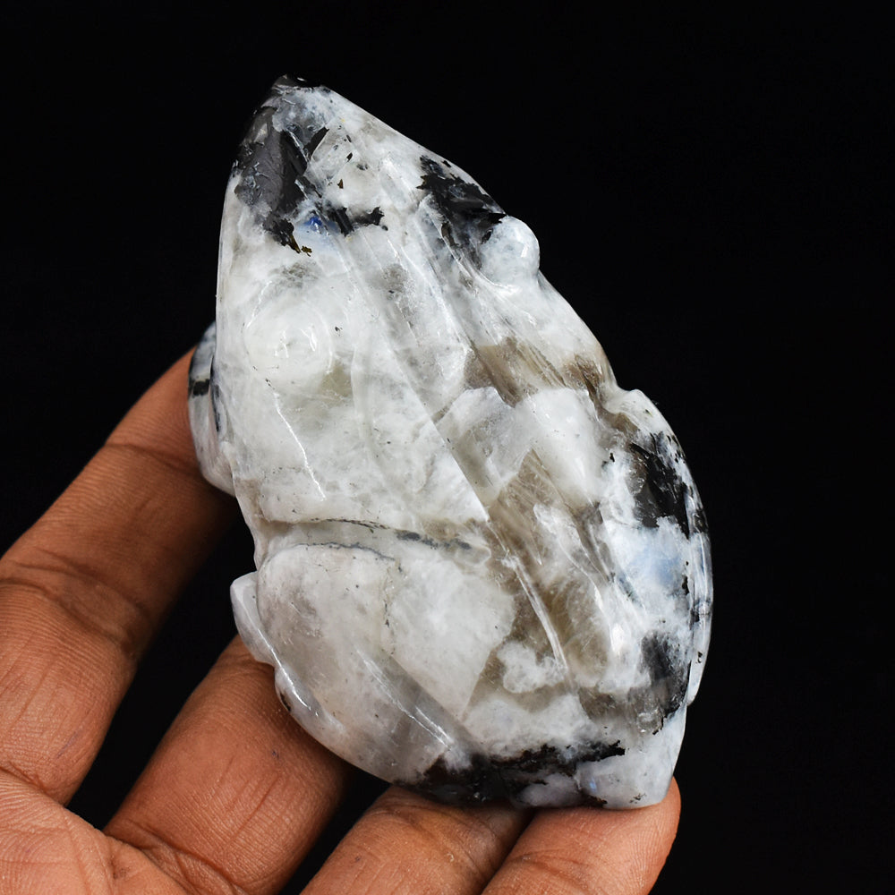 Blue Flash  Moonstone 750.00 Carats Genuine Hand Carved Crystal Gemstone Frog Carving