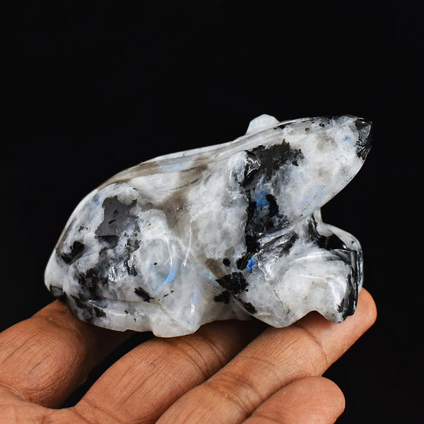 Blue Flash  Moonstone 750.00 Carats Genuine Hand Carved Crystal Gemstone Frog Carving