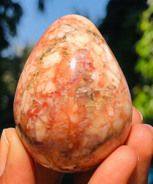 Pleasing 479.00 Cts Genuine Polygram Jasper Healing Crystal Premium Egg