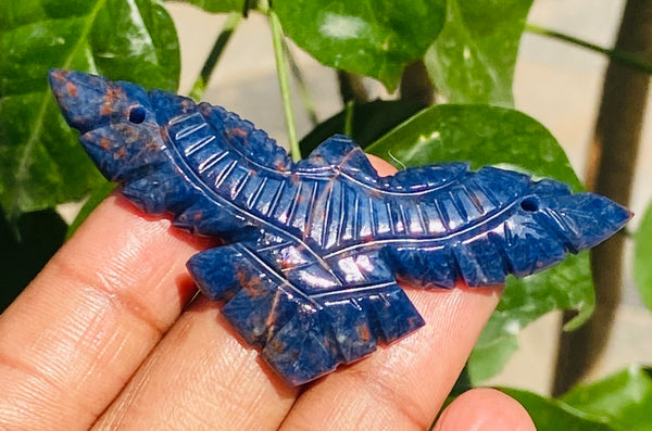 Awful 52.00 Cts Genuine Blue Sodalite Hand Carved Premium Eagle Crystal