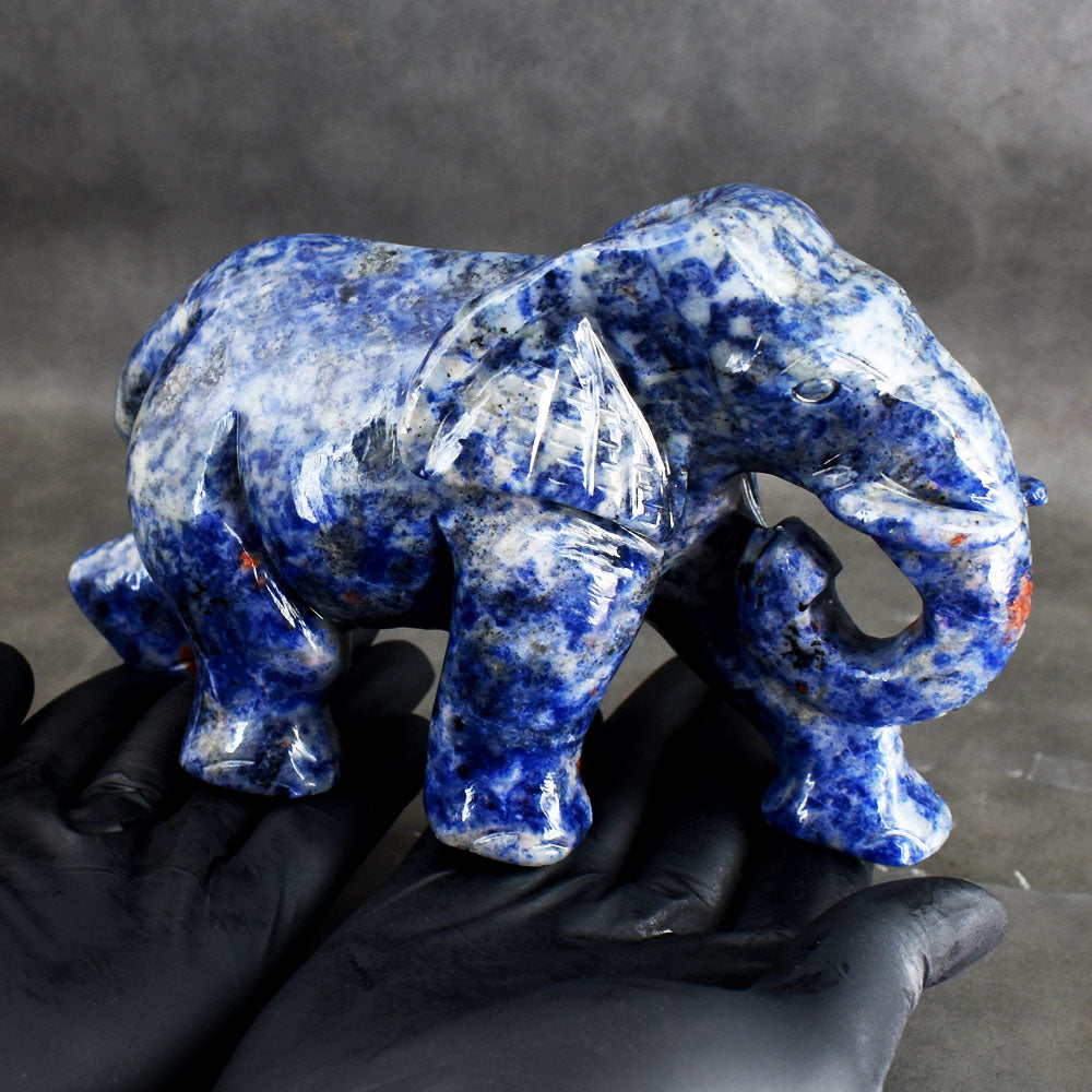 Awesome 4096.00 Carats Genuine Sodalite Hand Carved Crystal Gemstone Elephant Carving