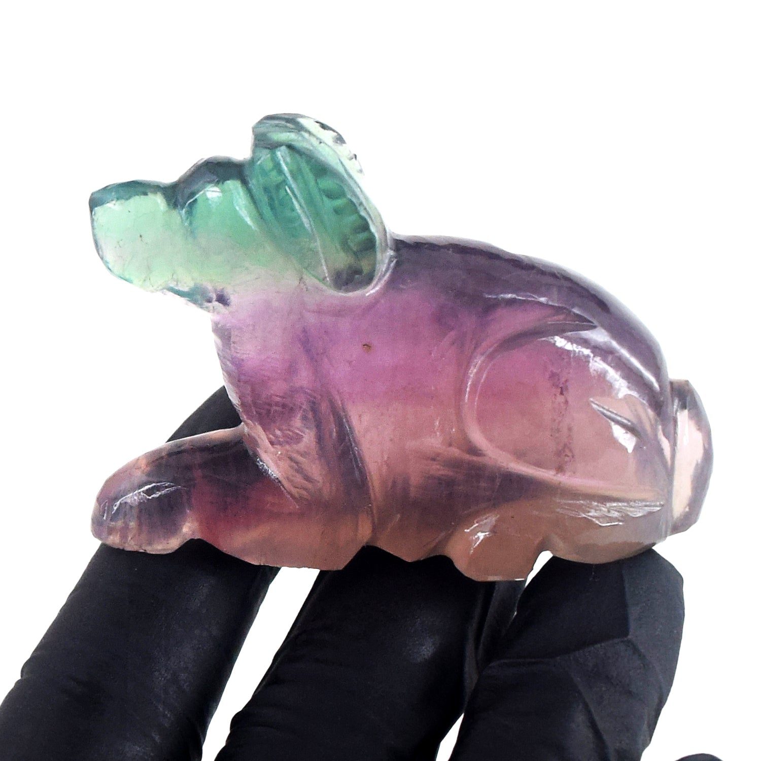 Morbid 353.00 Cts Genuine Multicolor Fluorite Carved Premium Dog Crystal