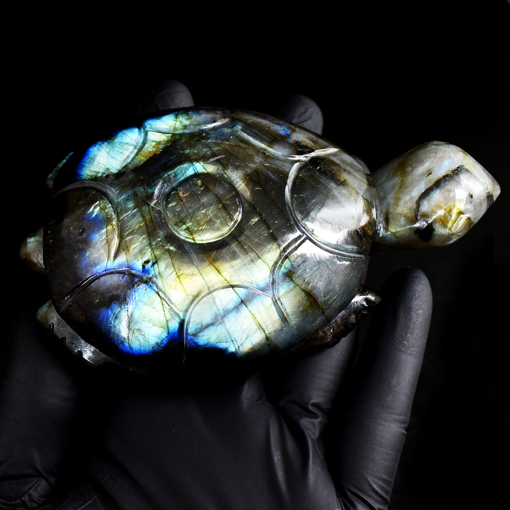 Beautiful 1352.00 Cts Genuine Golden & Blue Flash Labradorite Hand Carved Crystal Gemstone Turtle Carving