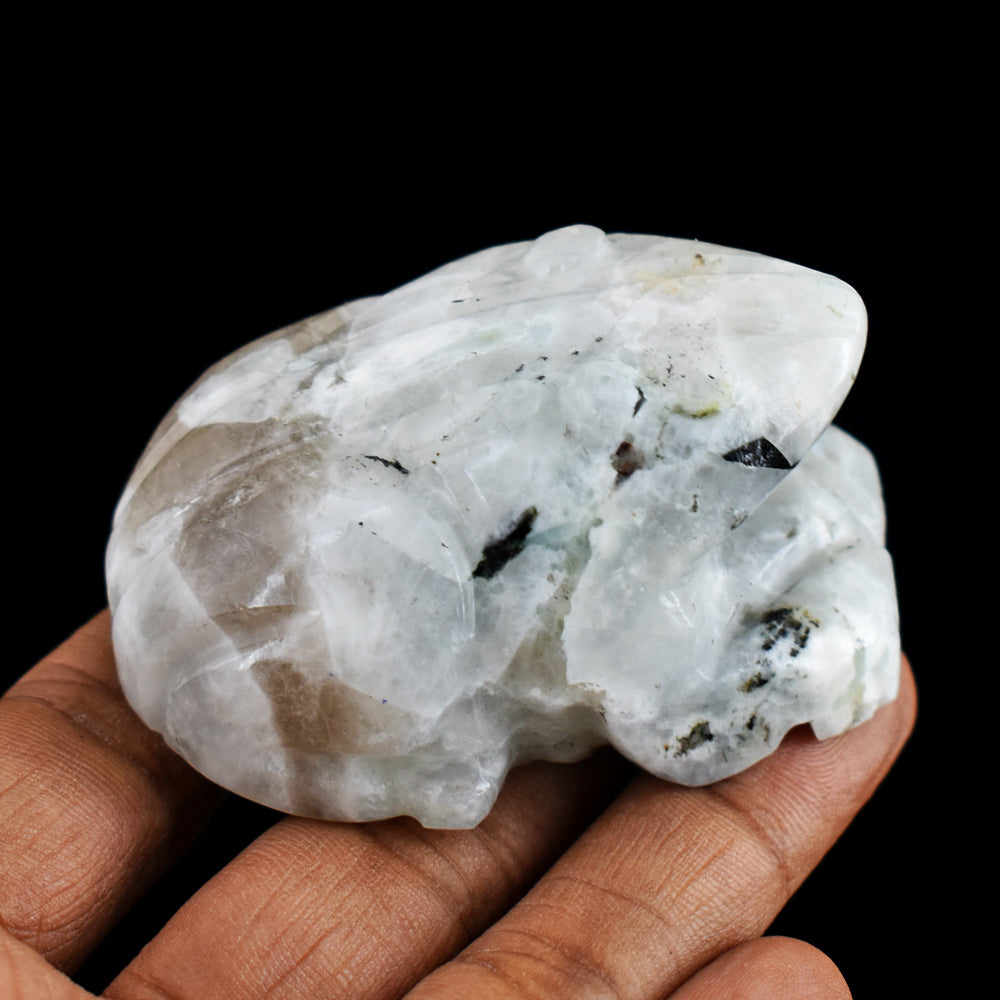 Blue Flash Moonstone 523.00 Carats  Hand Carved Genuine Crystal Gemstone Carving Frog