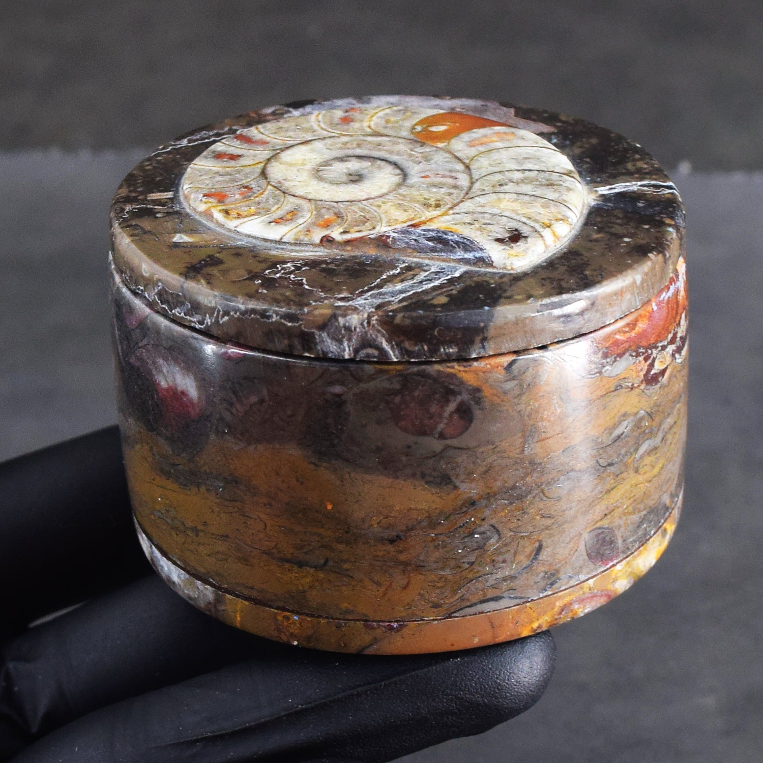 Confounding 1147.00 Cts Genuine Orthoceras Crystal Specimen Round Shape Box