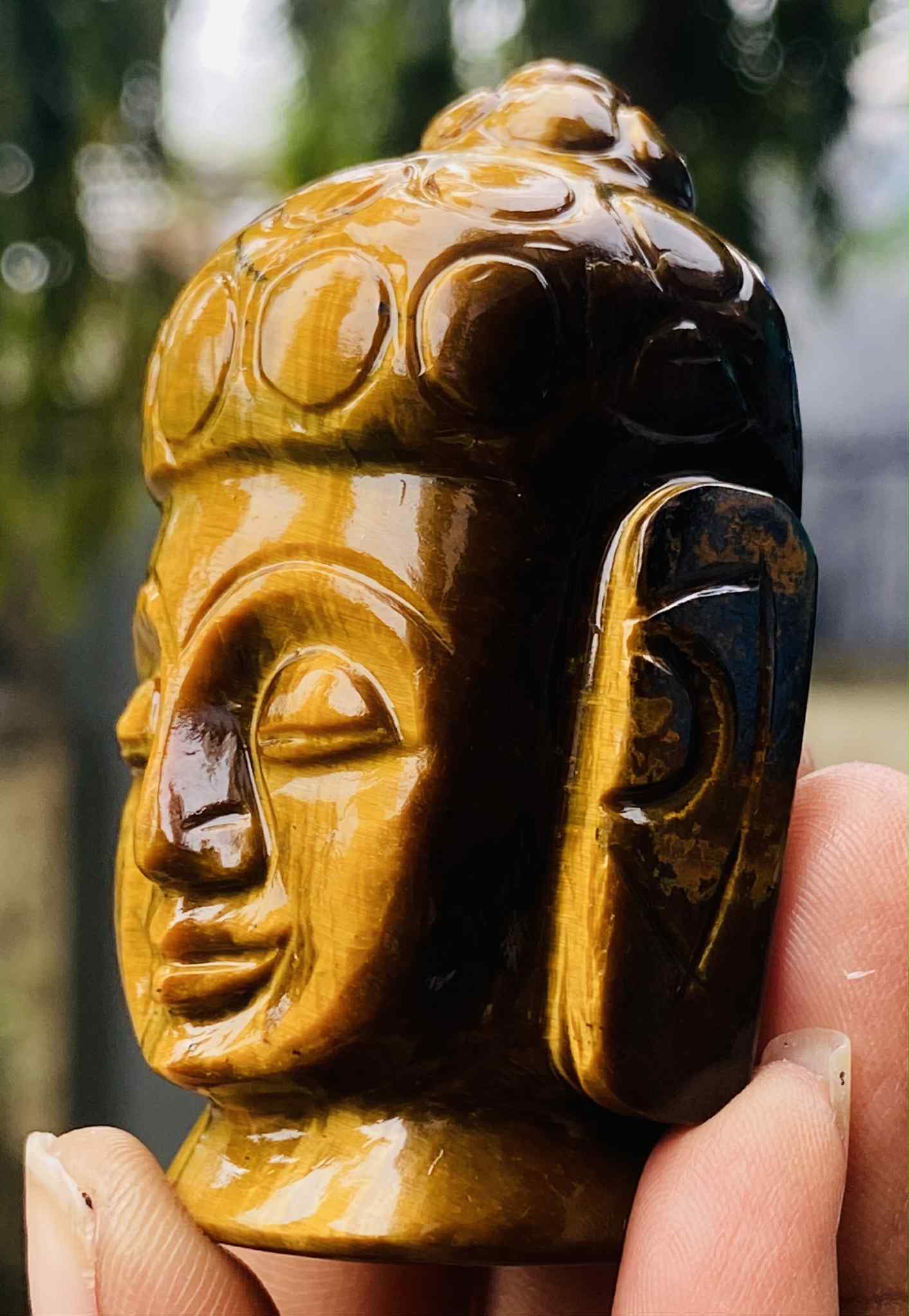 Amazing 535.00 Cts Genuine Tiger Eye Hand Carved Genuine Crystal Gemstone Carving Buddha Head