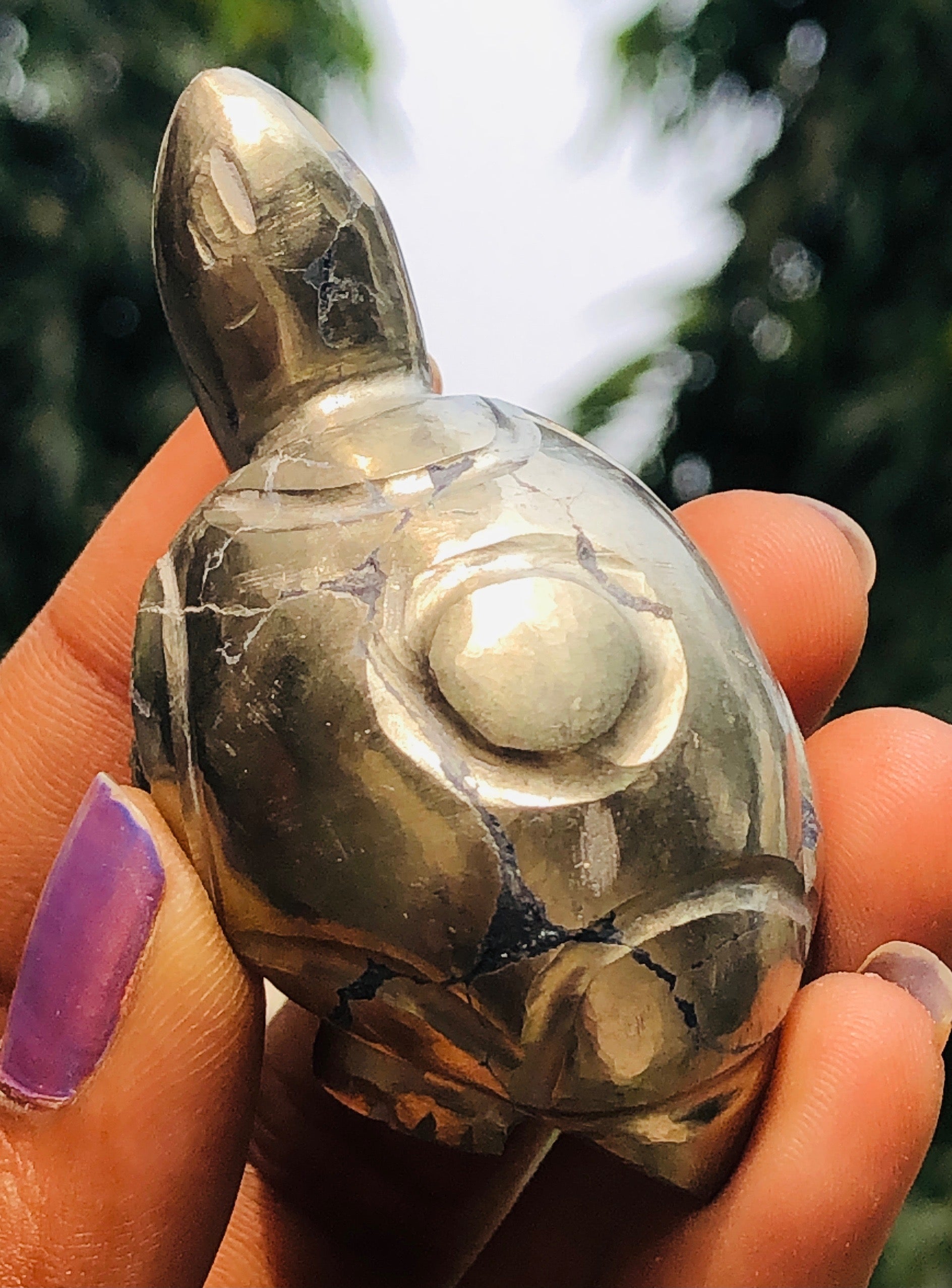 Beautiful 450.00 Cts Genuine Pyrite Hand Carved Gemstone Turtle Crystal