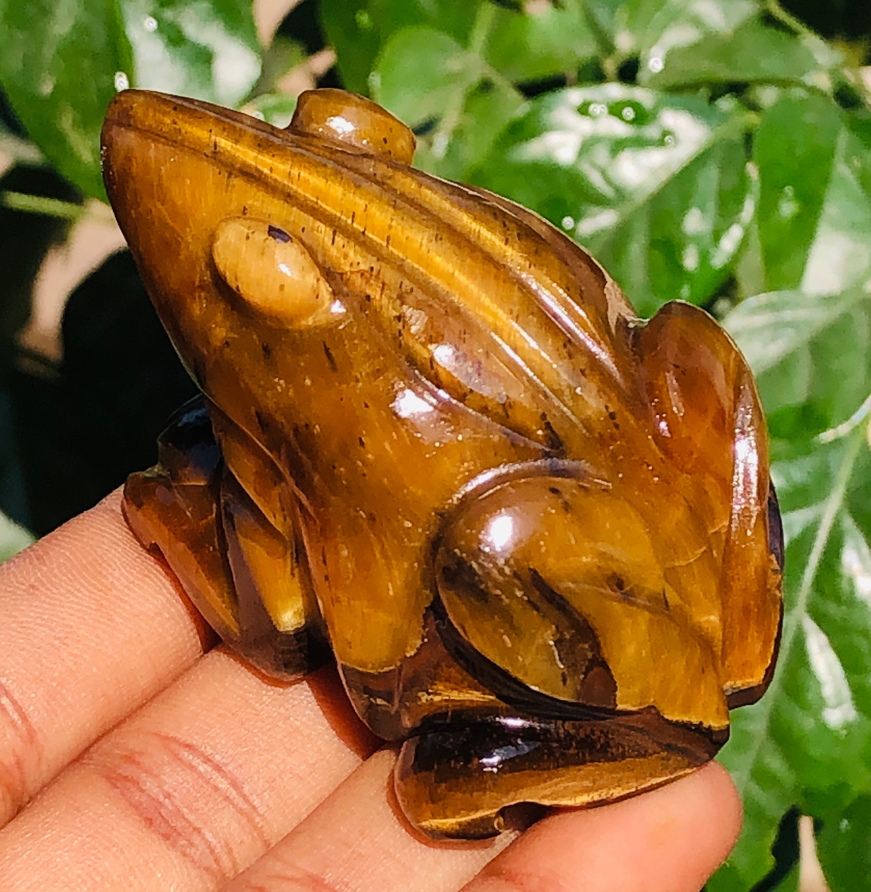 Gorgeous 456.00 Cts Genuine Tiger Eye Hand Carved Premium Frog Crystal