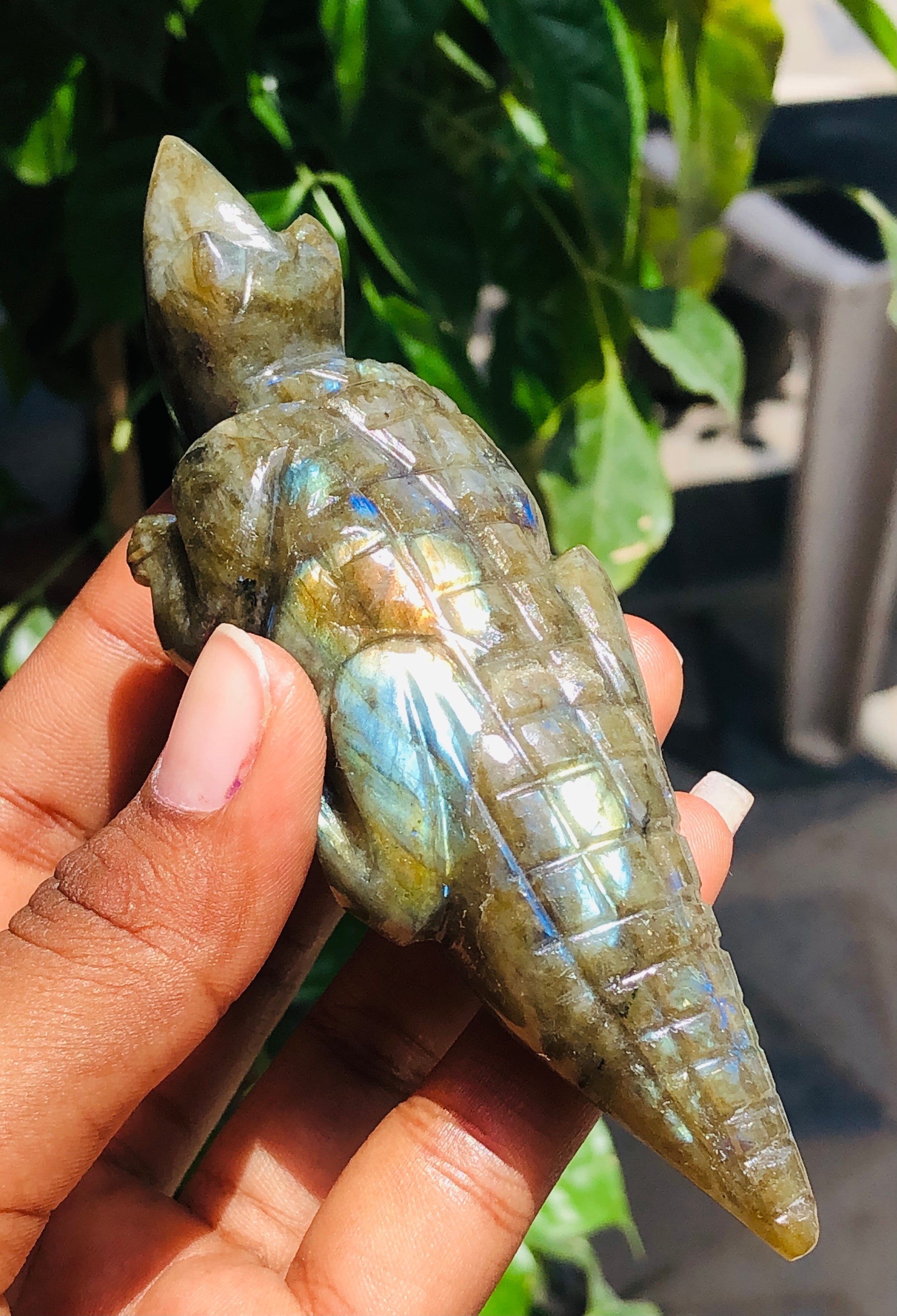 Exclusive 578.00 Cts Genuine Amazing Flash Labradorite Hand Carved Lizard Gemstone Carving 2026  Collection
