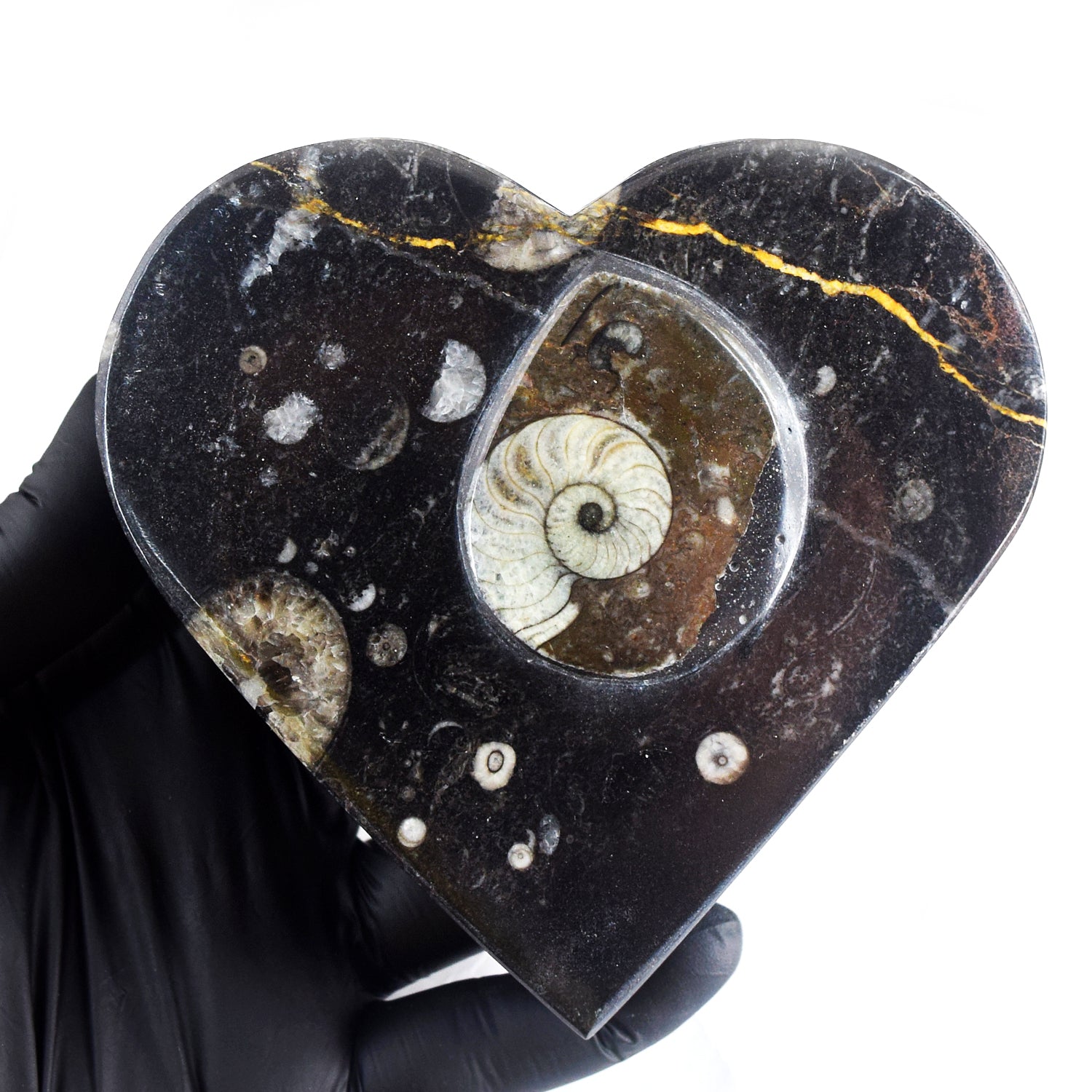 Attractive 2211.00 Cts Genuine Orthoceras Crystal Specimen Heart Shape Box