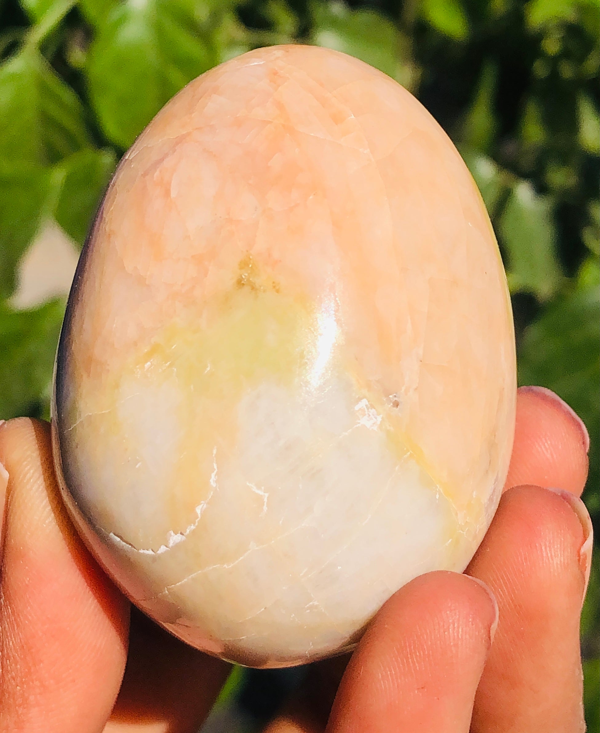 Genuine 675.00 Carats Polygram Jasper Crystal Specimen Healing Egg