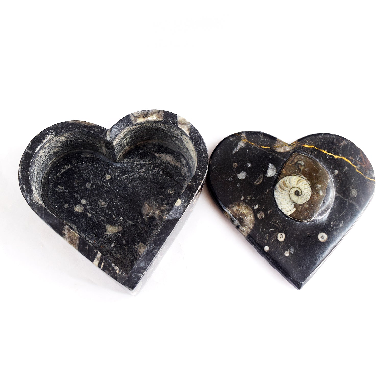 Attractive 2211.00 Cts Genuine Orthoceras Crystal Specimen Heart Shape Box