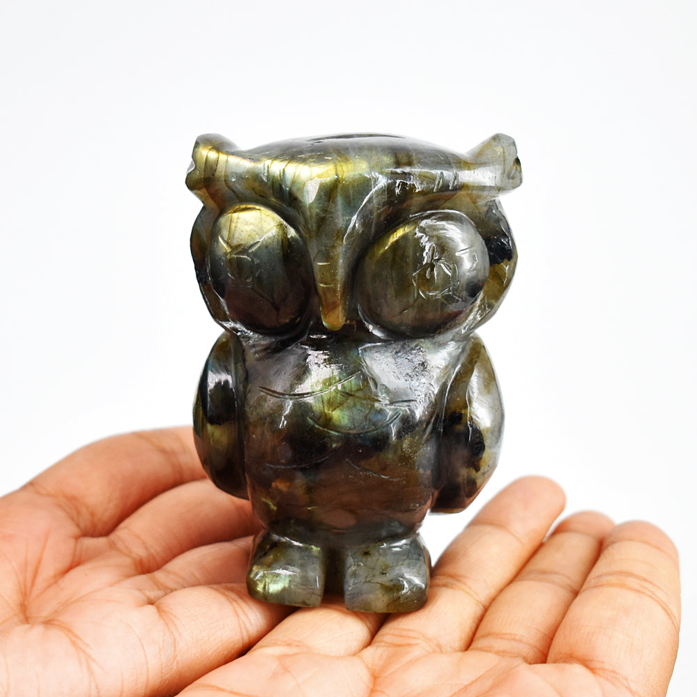 Golden & Blue Flash Labradorite 1289.00 Cts Genuine  Hand Carved Crystal Gemstone Owl Carving