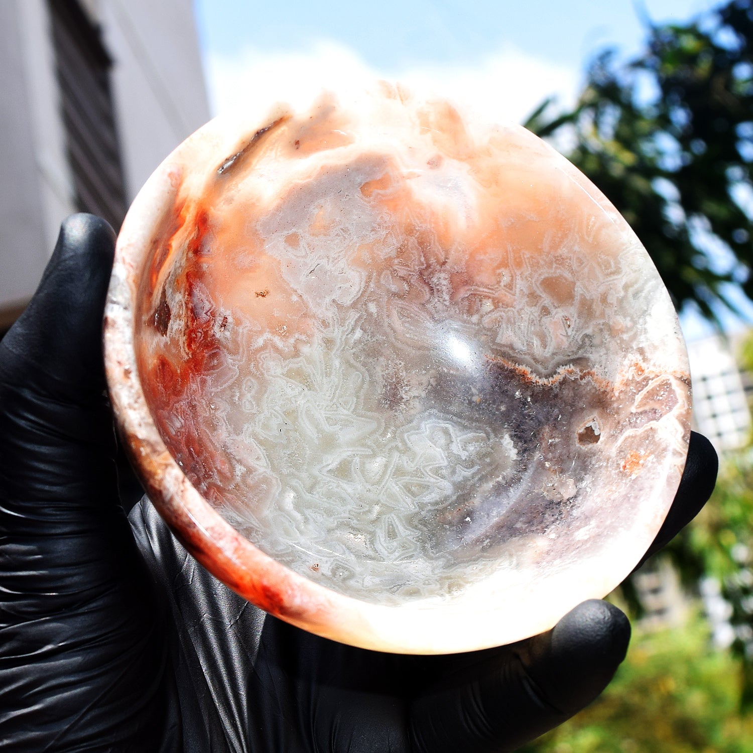 Elegant 1065.00 Carats Genuine Crazy Lace Agate Hand Carved Crystal Gemstone Carving Big Bowl