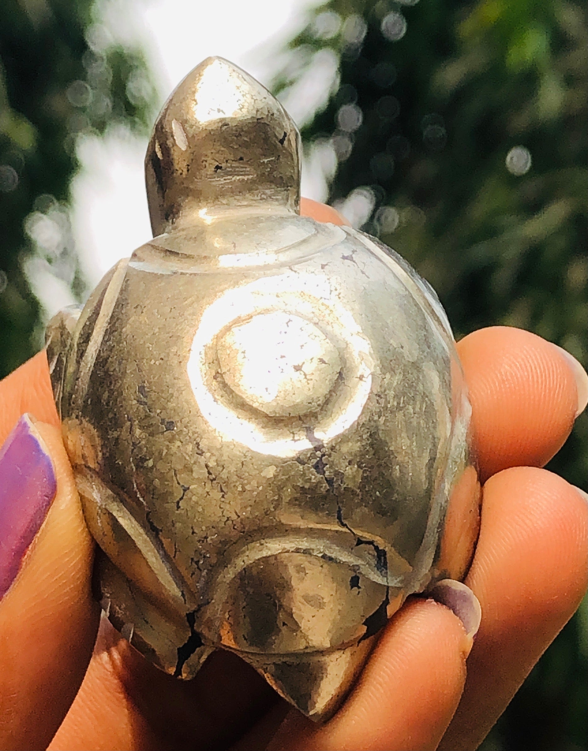 Amazing 397.00 Cts genuine Pyrite Hand Carved Premium Crystal Turtle Gemstone