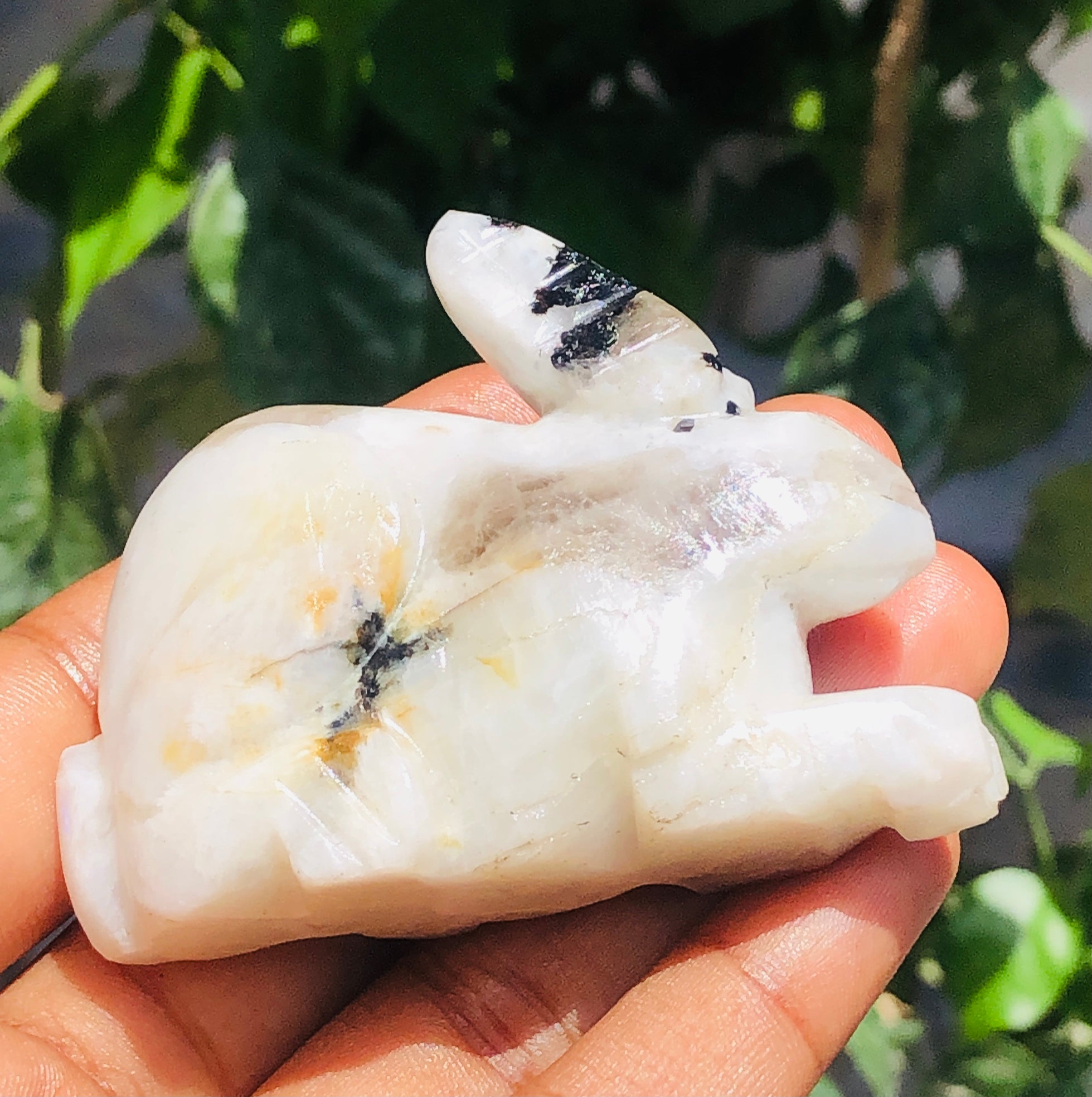 Beautiful 407.00 Carats Genuine Moonstone Hand Carved  Gemstone  Bunny Carving 2026  Collection