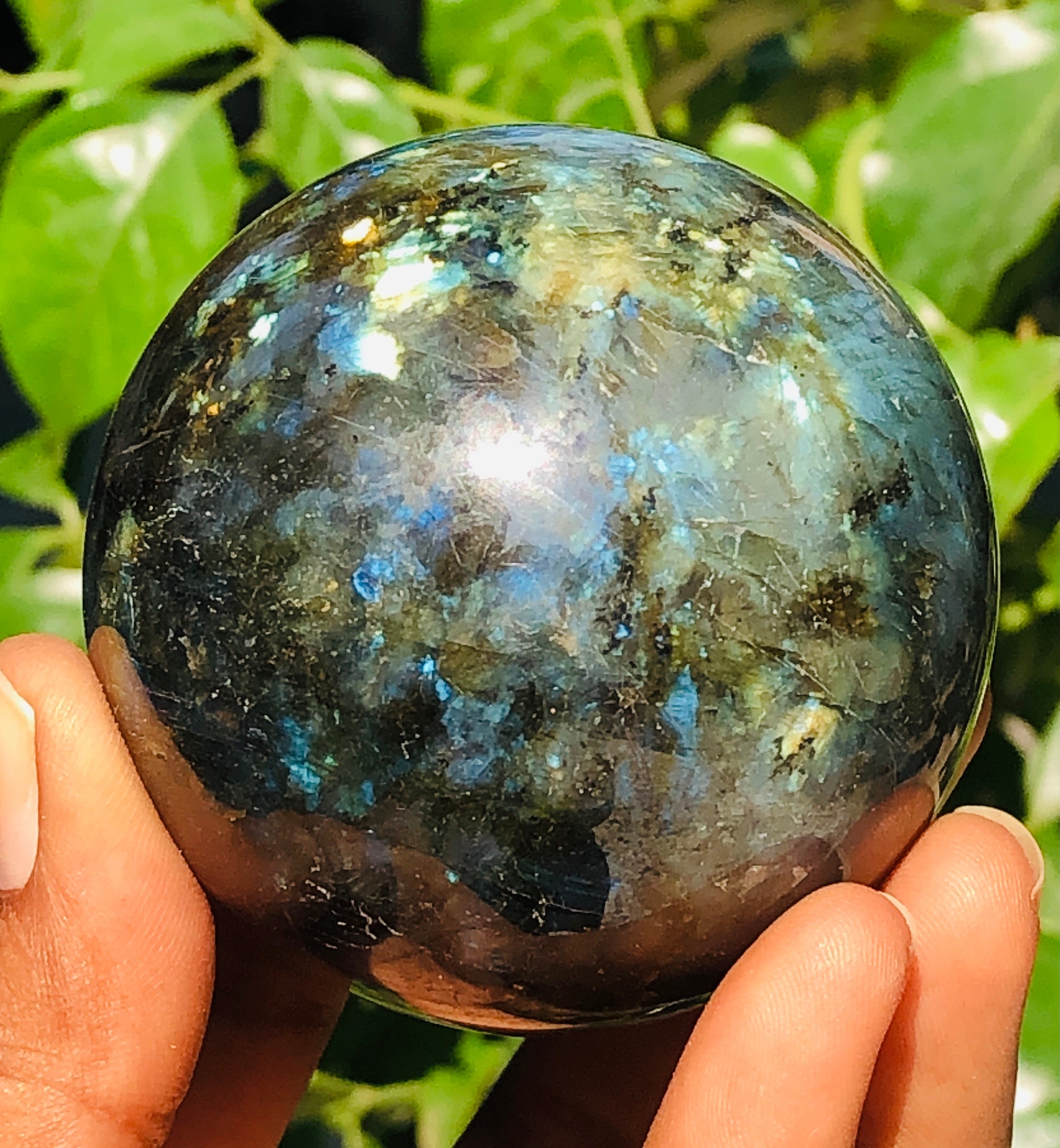Gracious 1383.00 Cts Genuine Blue & Golden Flash Labradorite Healing Ball Sphere Premium Crystal