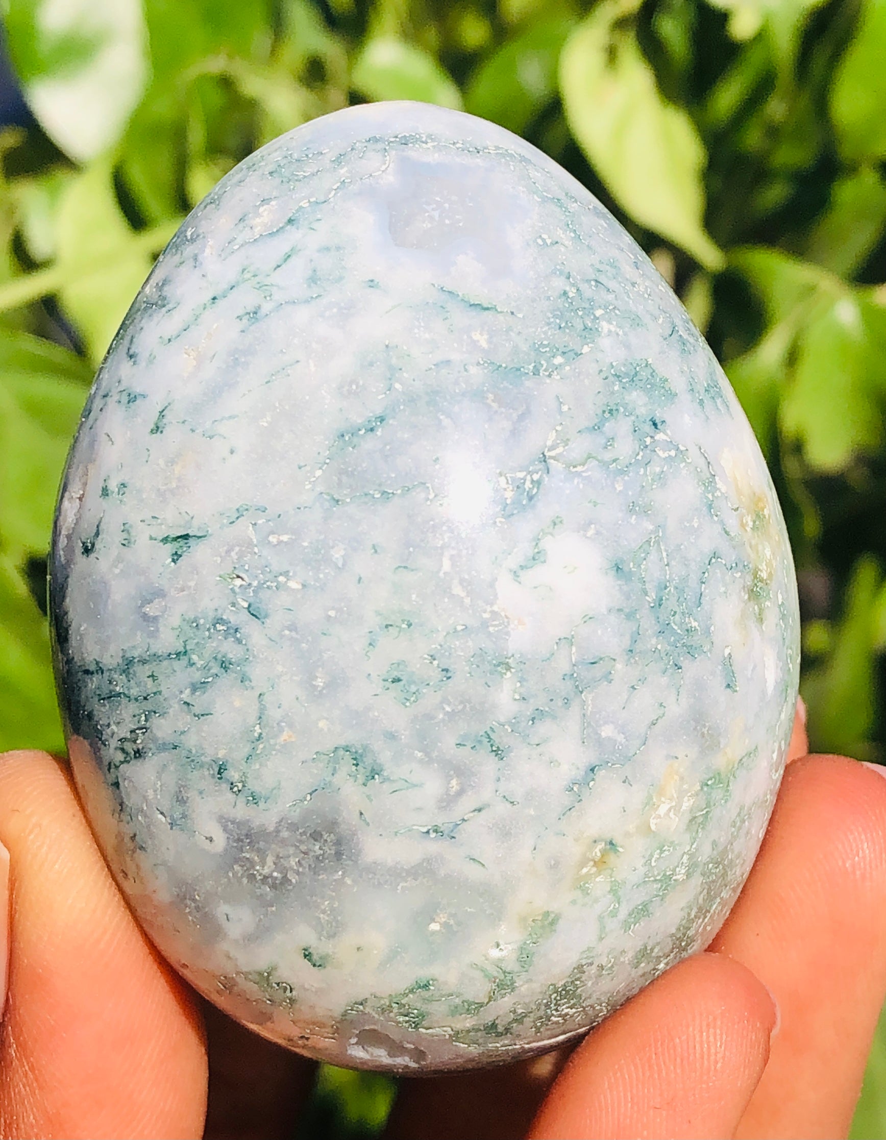 Natural 664.00 Cts Genuine Tree Agate Healing Crystal Specimen Premium Egg